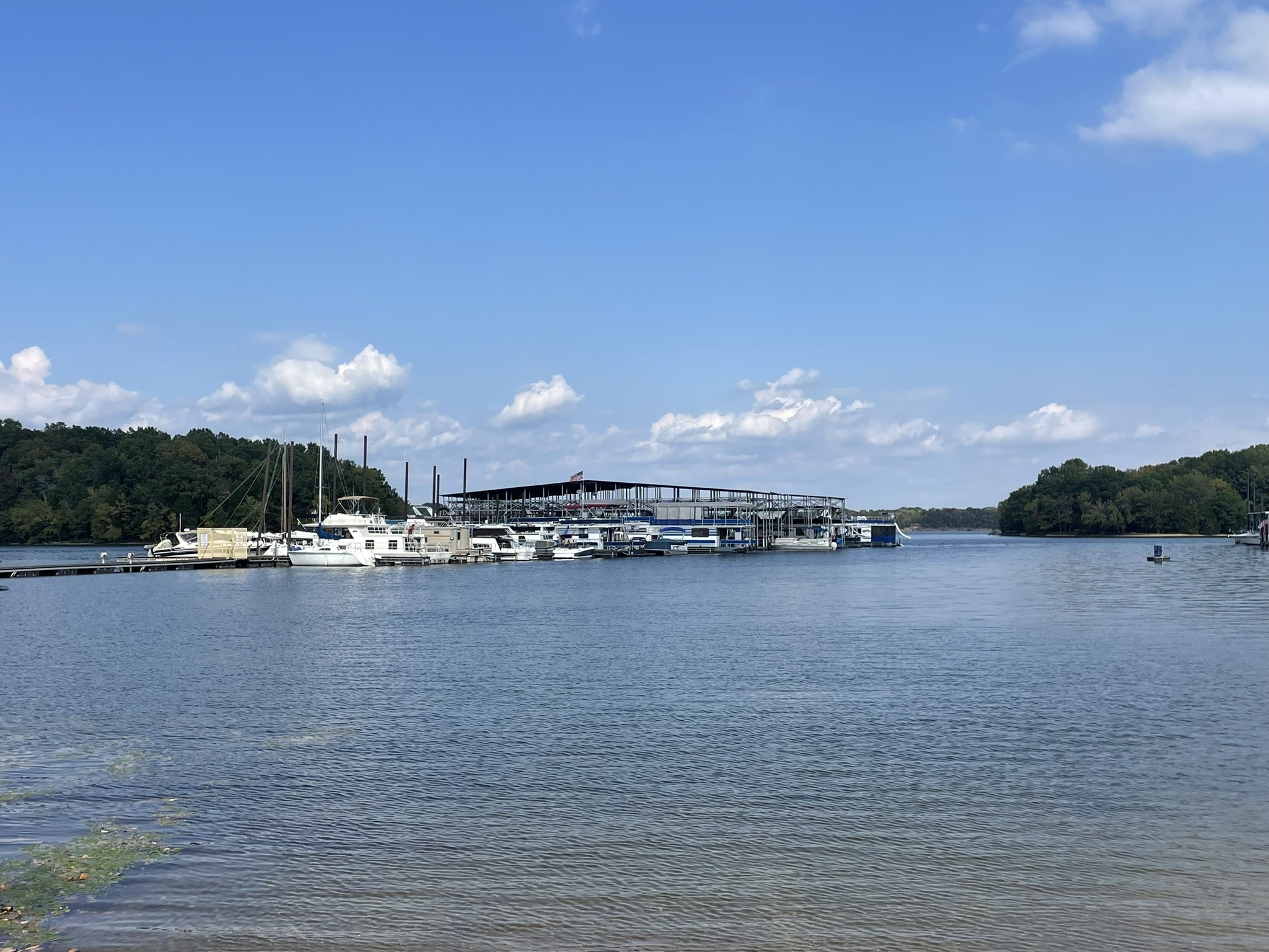 1109 Reelfoot Cir