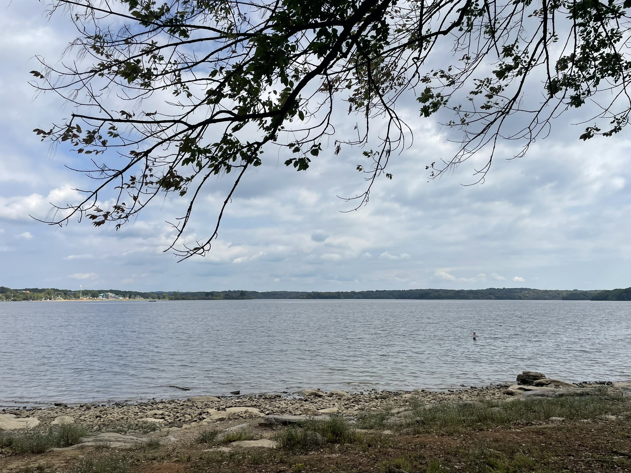 1109 Reelfoot Cir