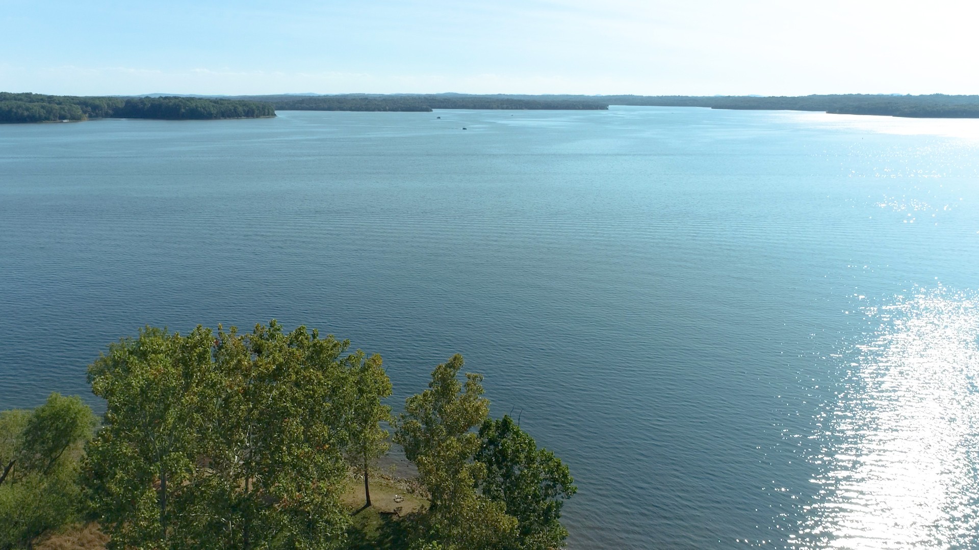 1109 Reelfoot Cir