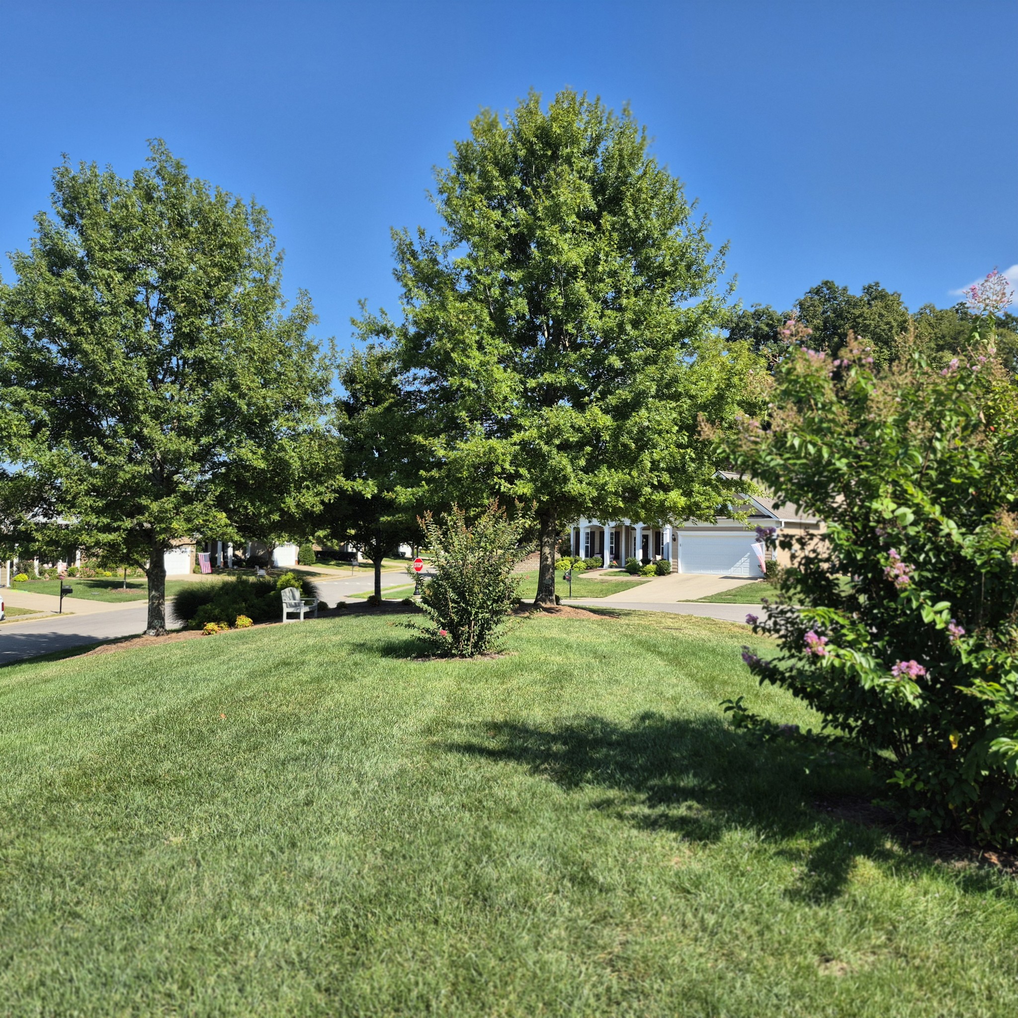 134 Dahlgren Dr
