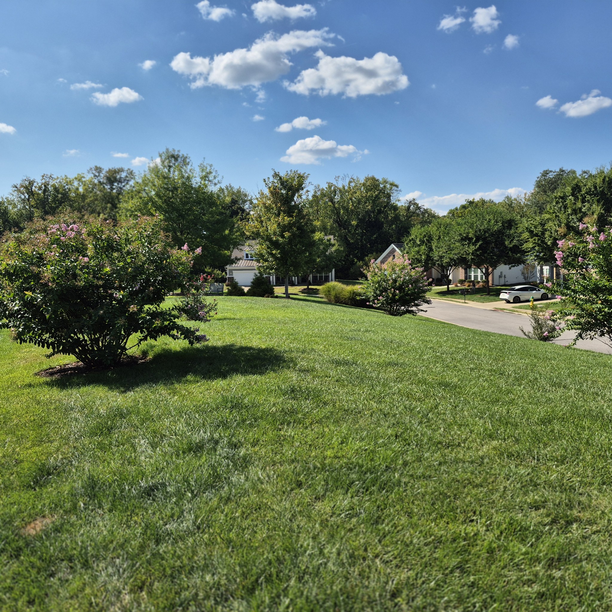 134 Dahlgren Dr