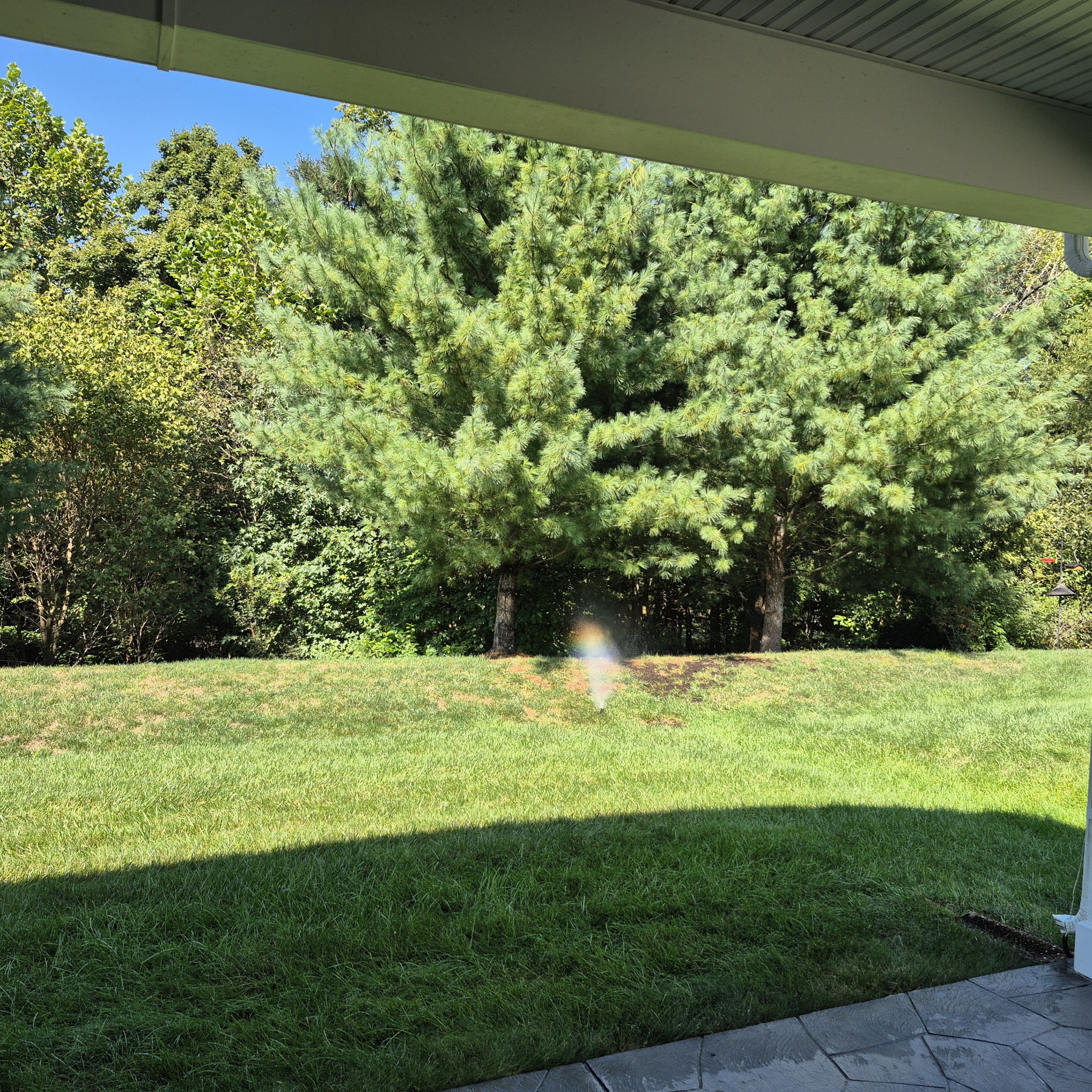 134 Dahlgren Dr