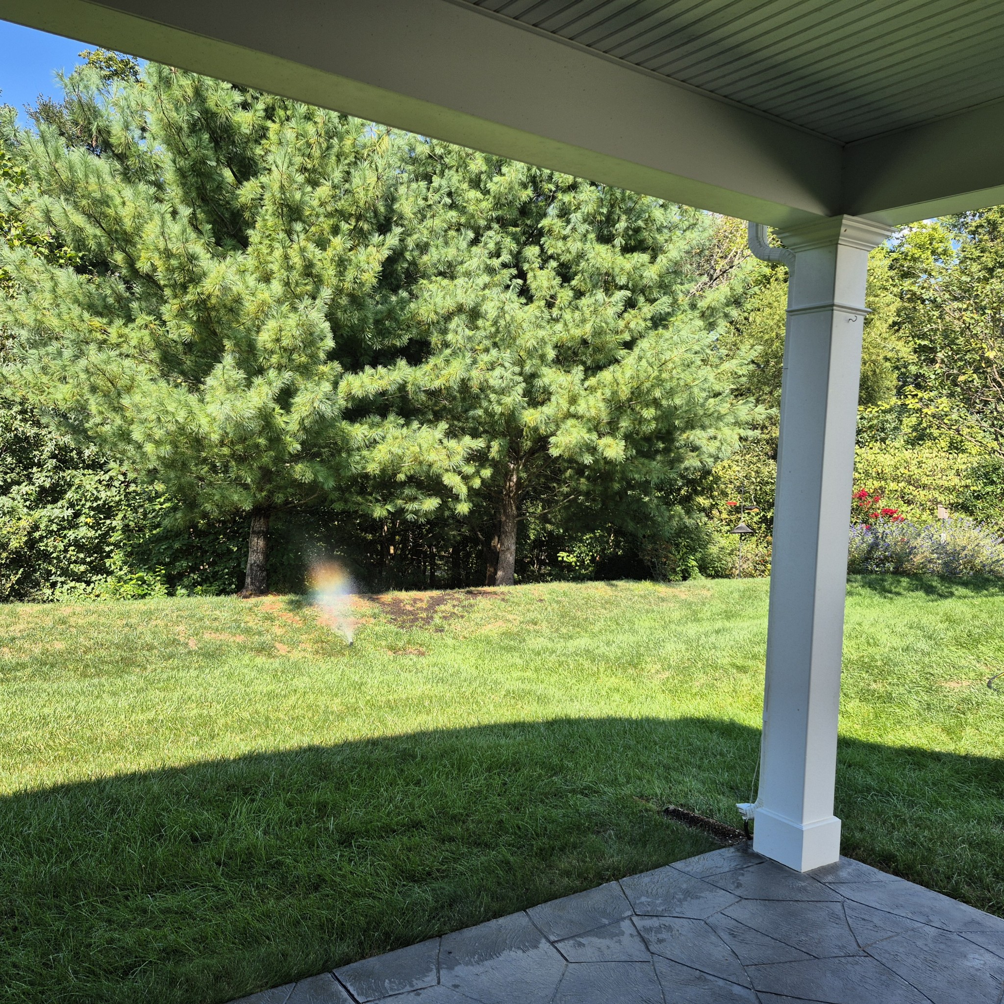 134 Dahlgren Dr