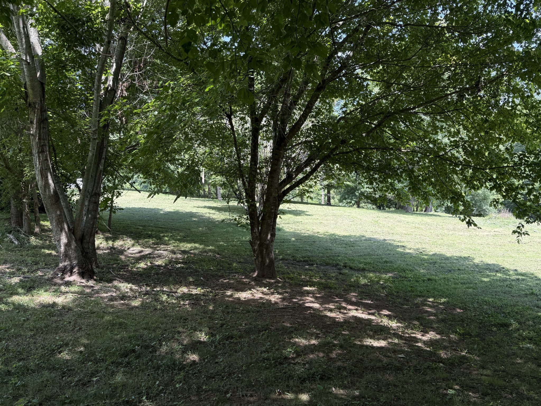 2145 Honey Prong Rd
