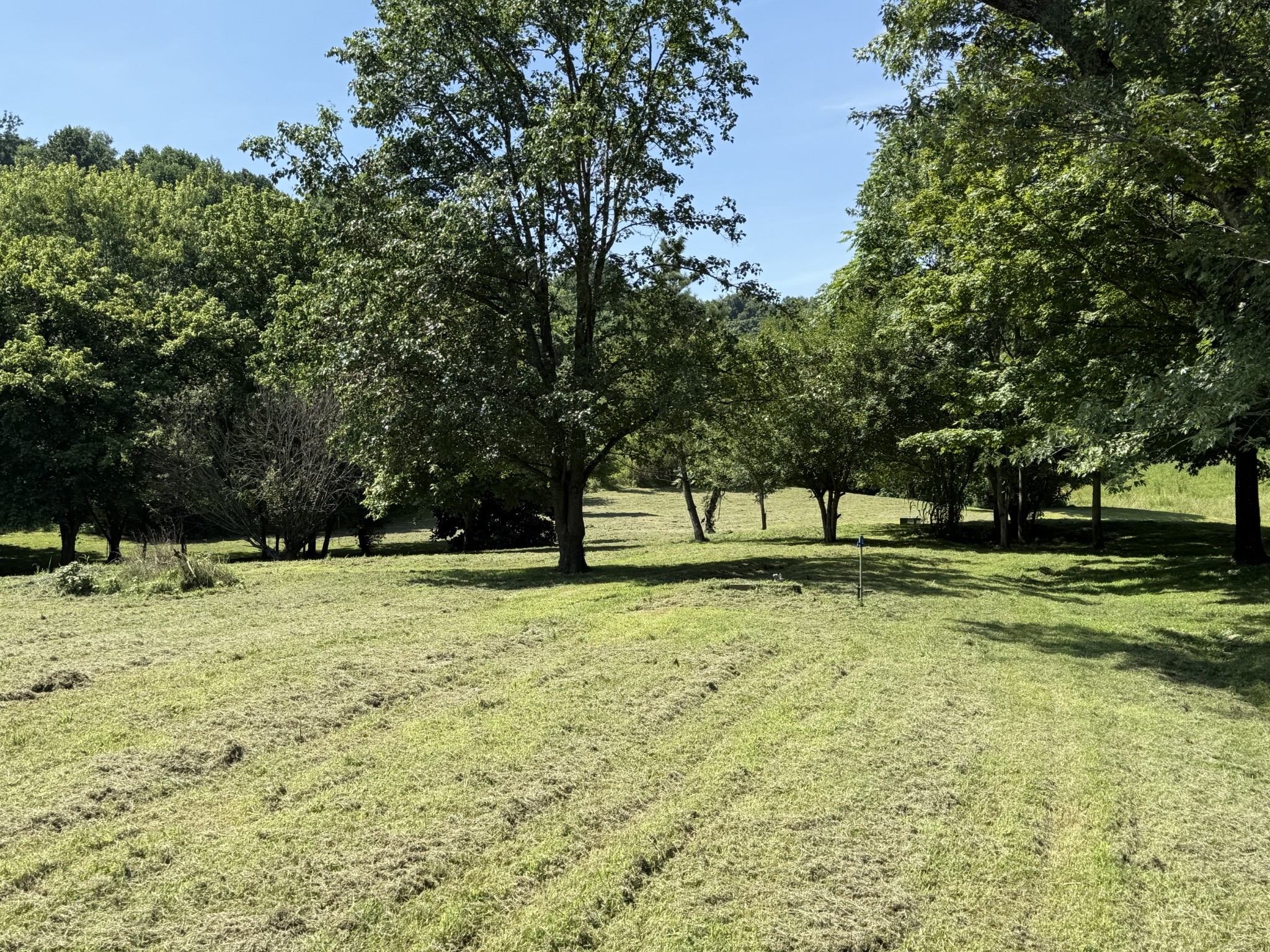 2145 Honey Prong Rd