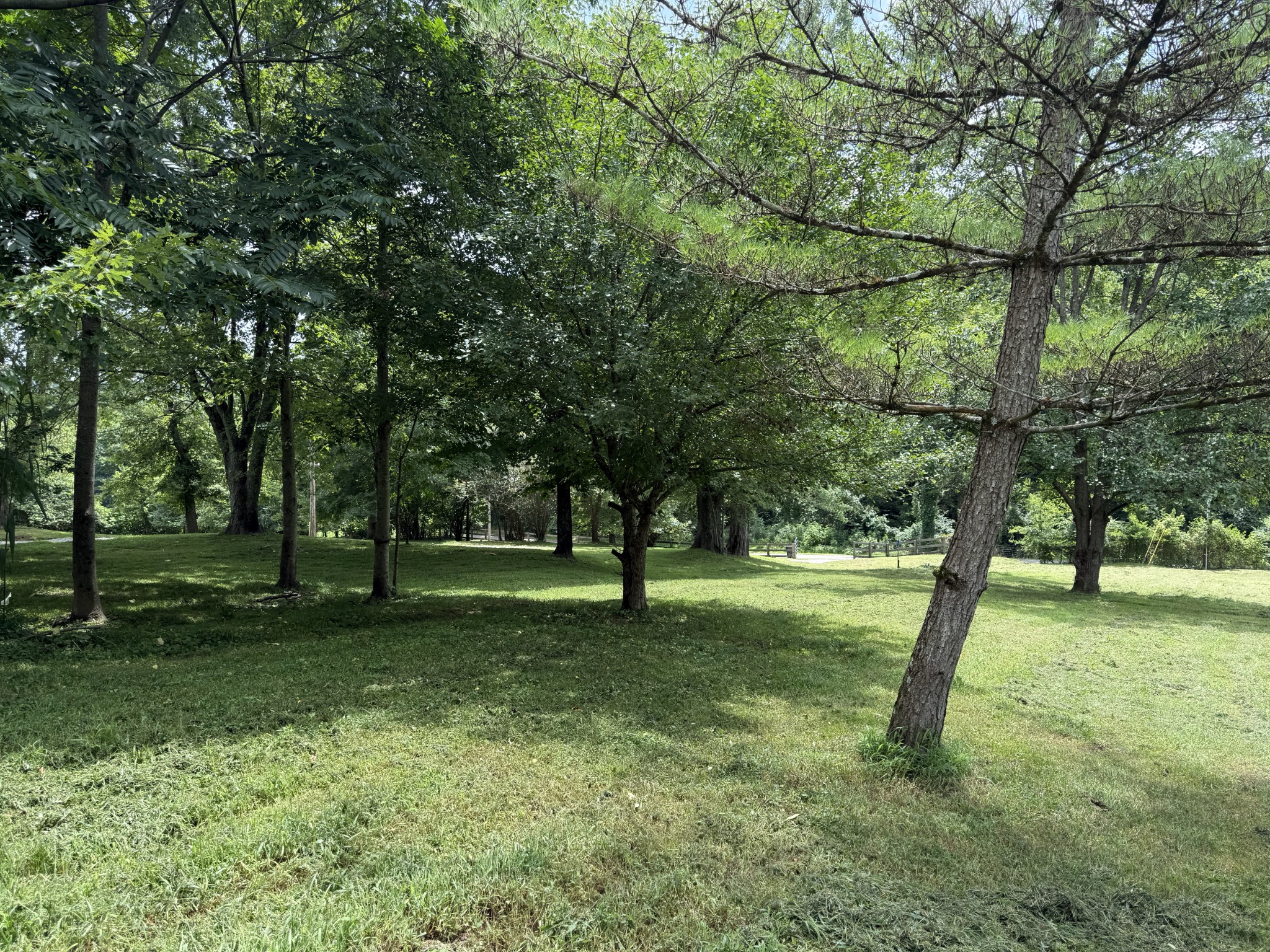2145 Honey Prong Rd