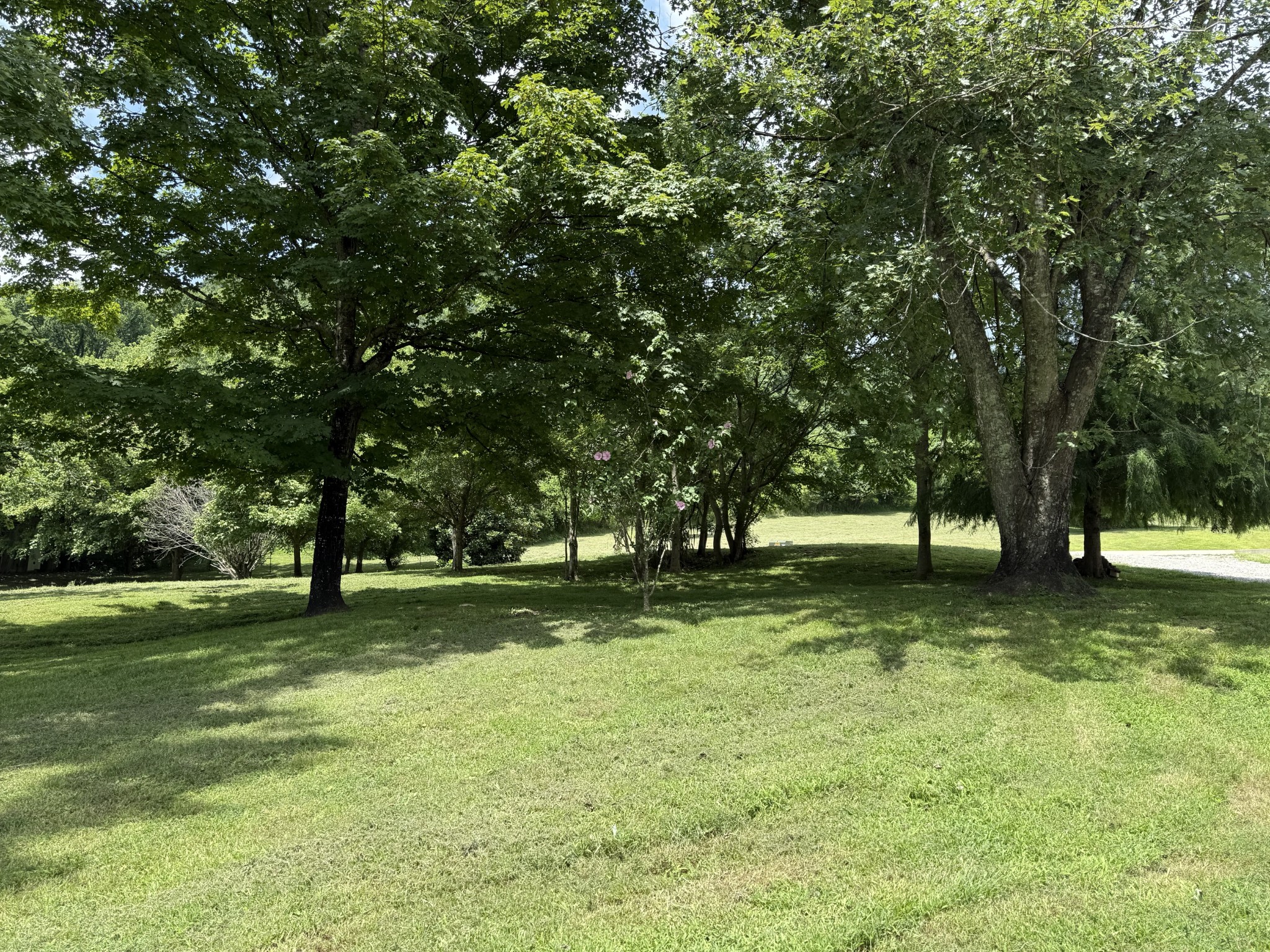 2145 Honey Prong Rd