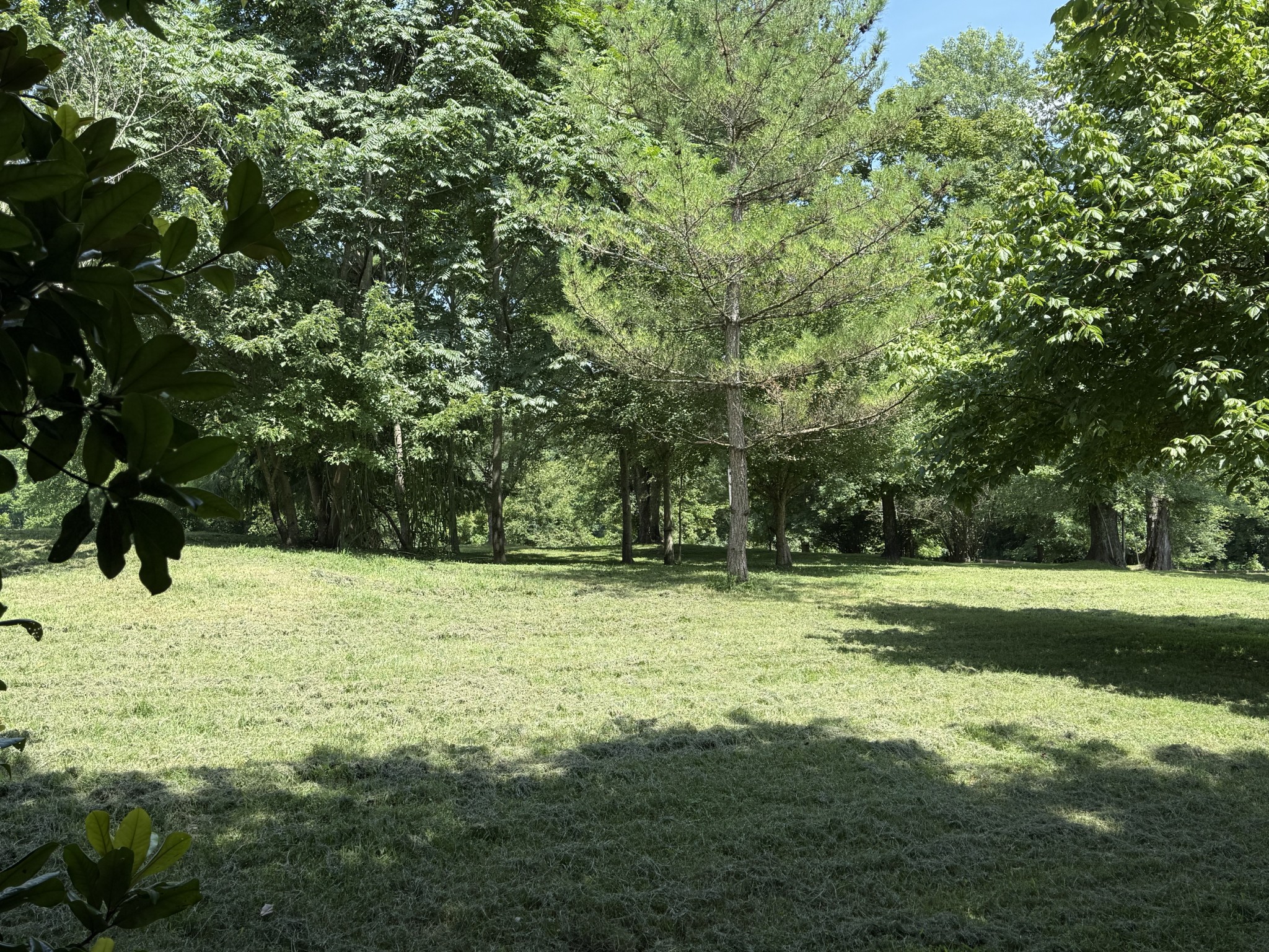 2145 Honey Prong Rd