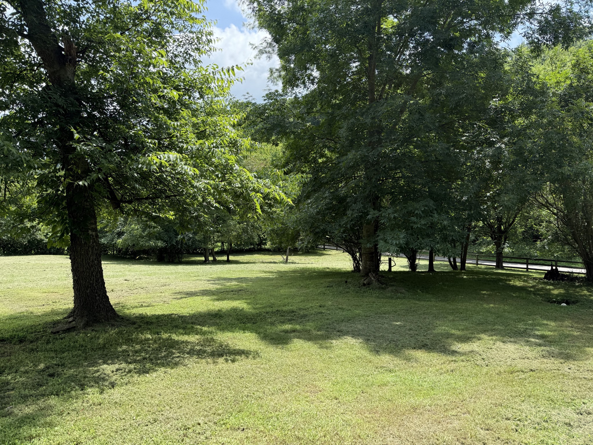 2145 Honey Prong Rd