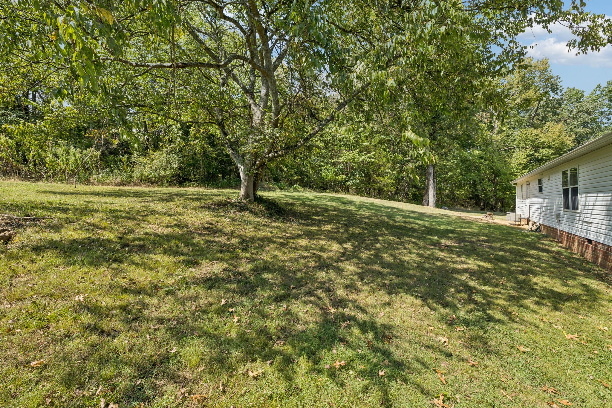 1250 Africa Rd