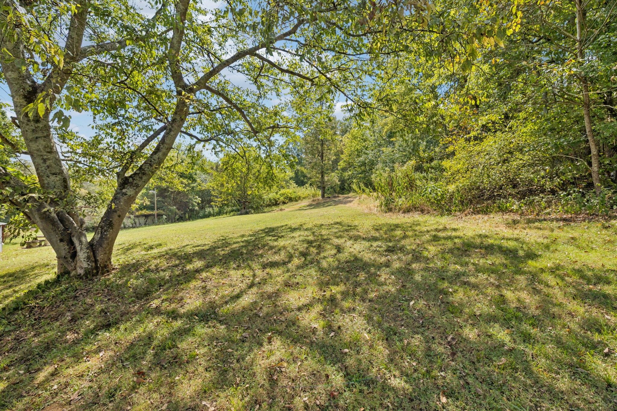1250 Africa Rd