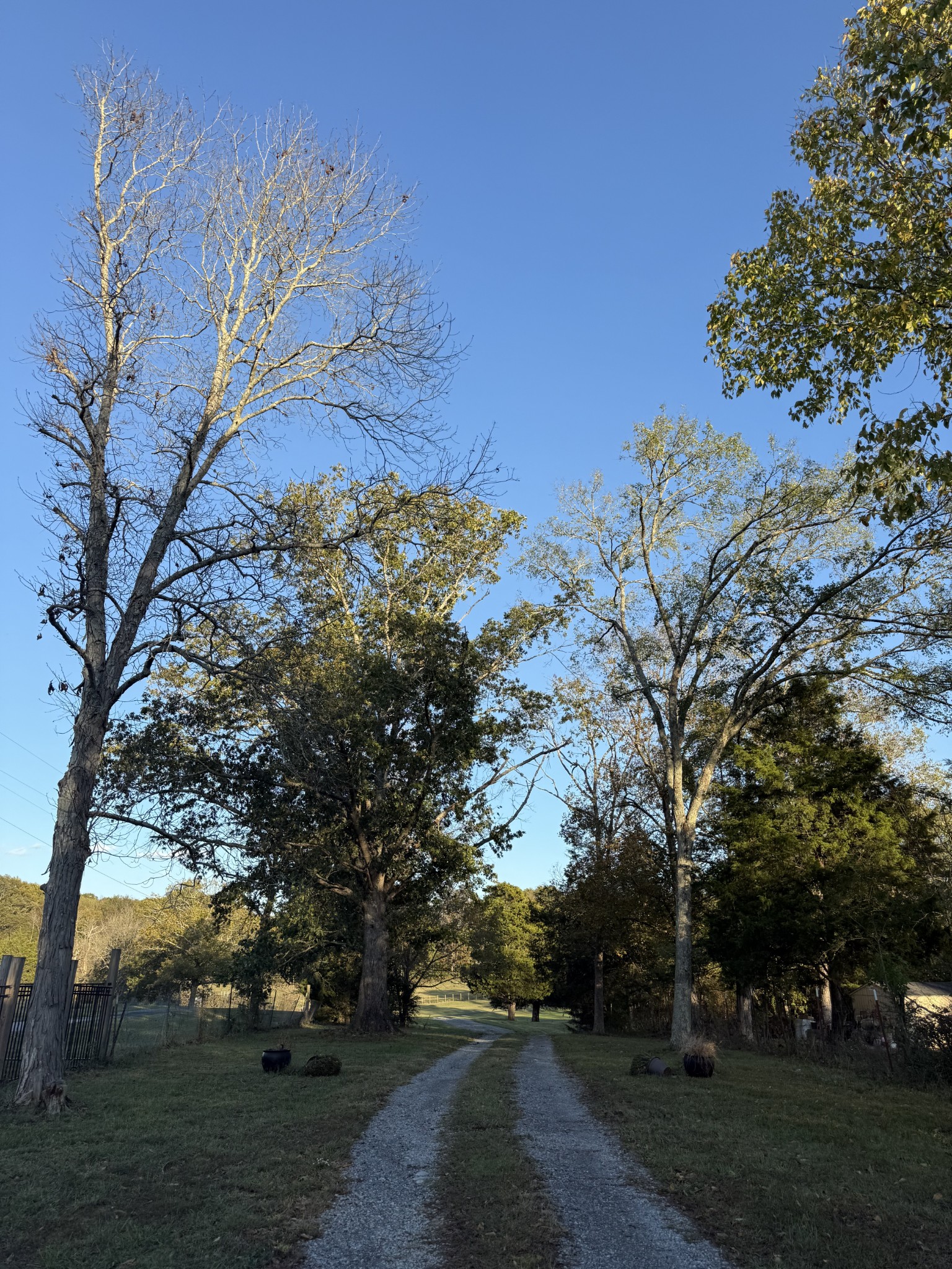 2510 Highway 231, S