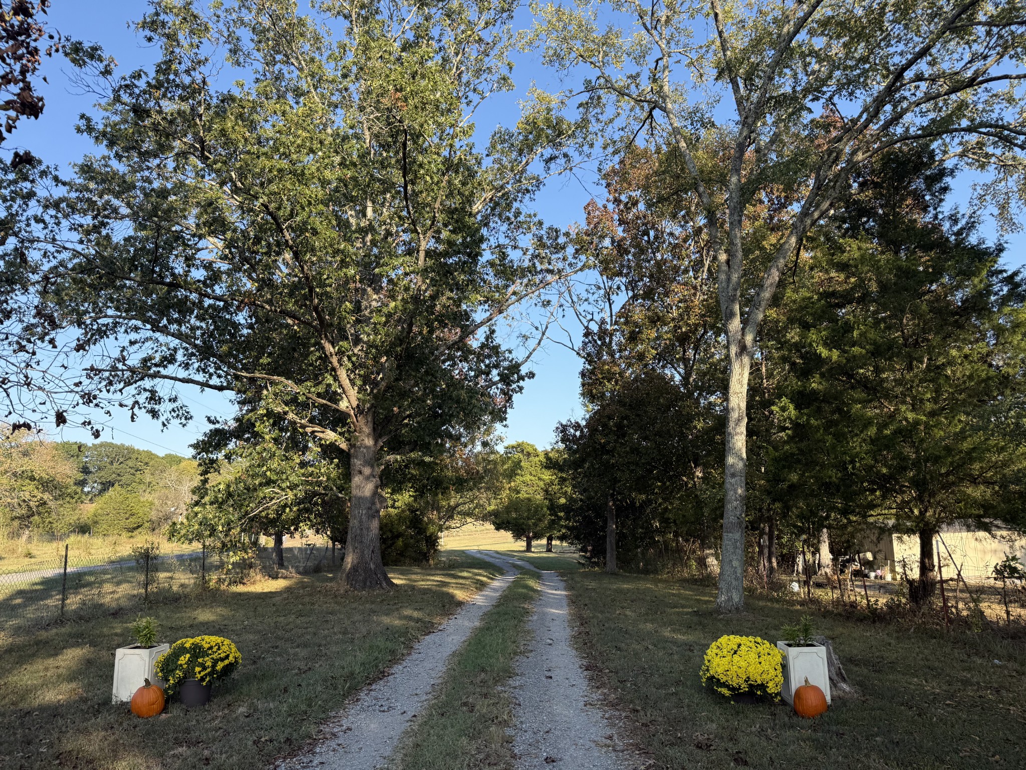 2510 Highway 231, S