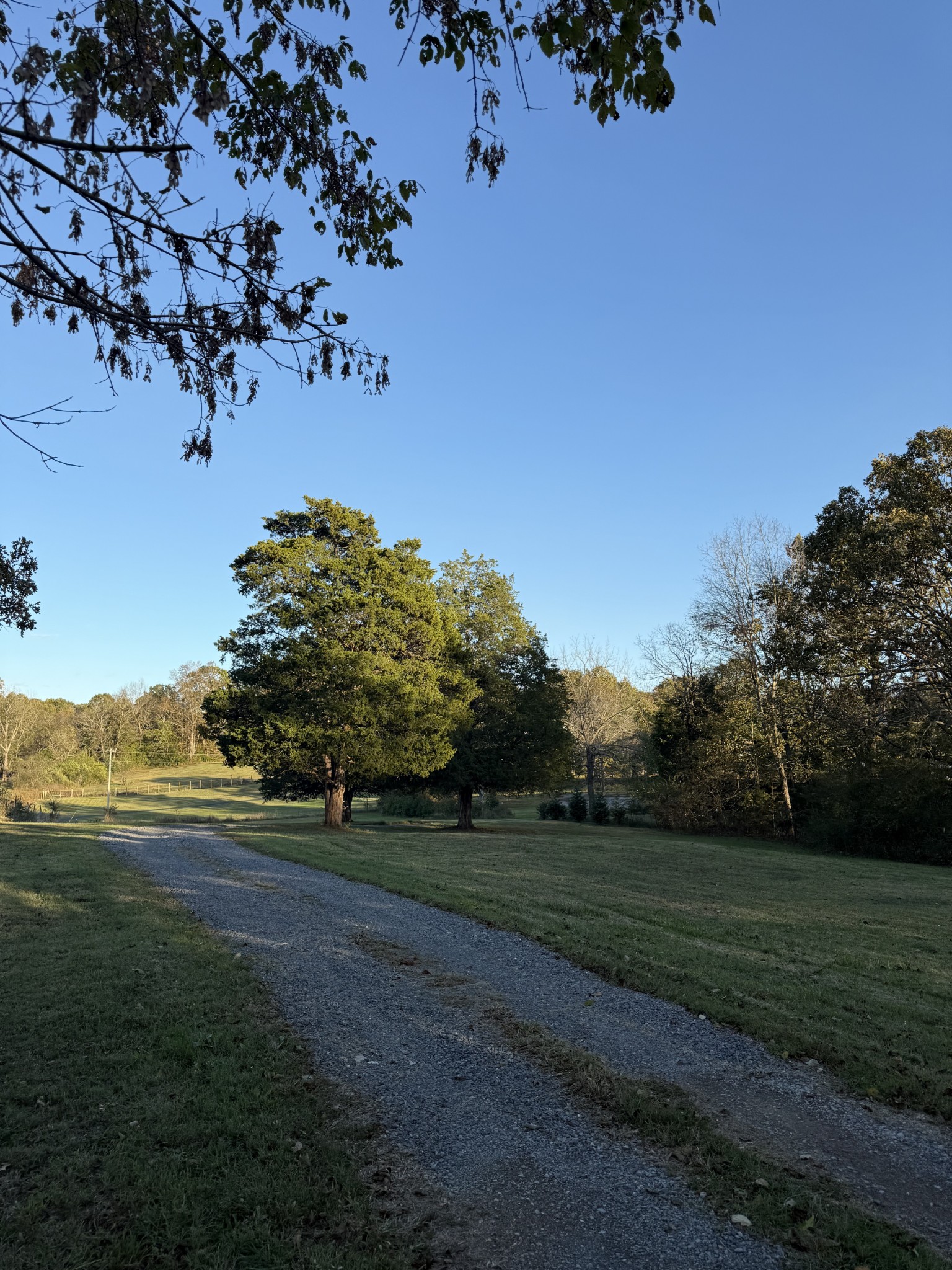 2510 Highway 231, S