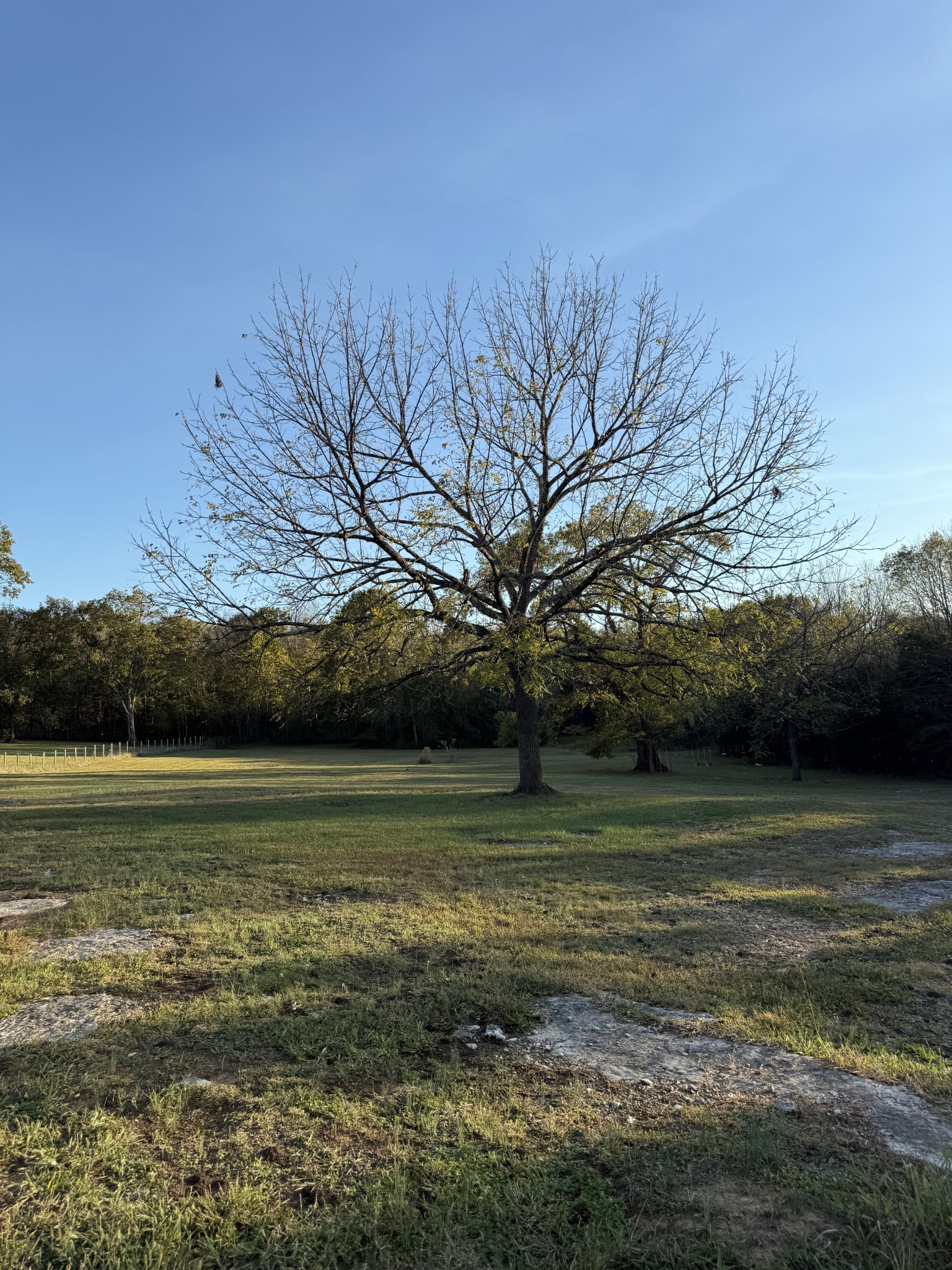 2510 Highway 231, S