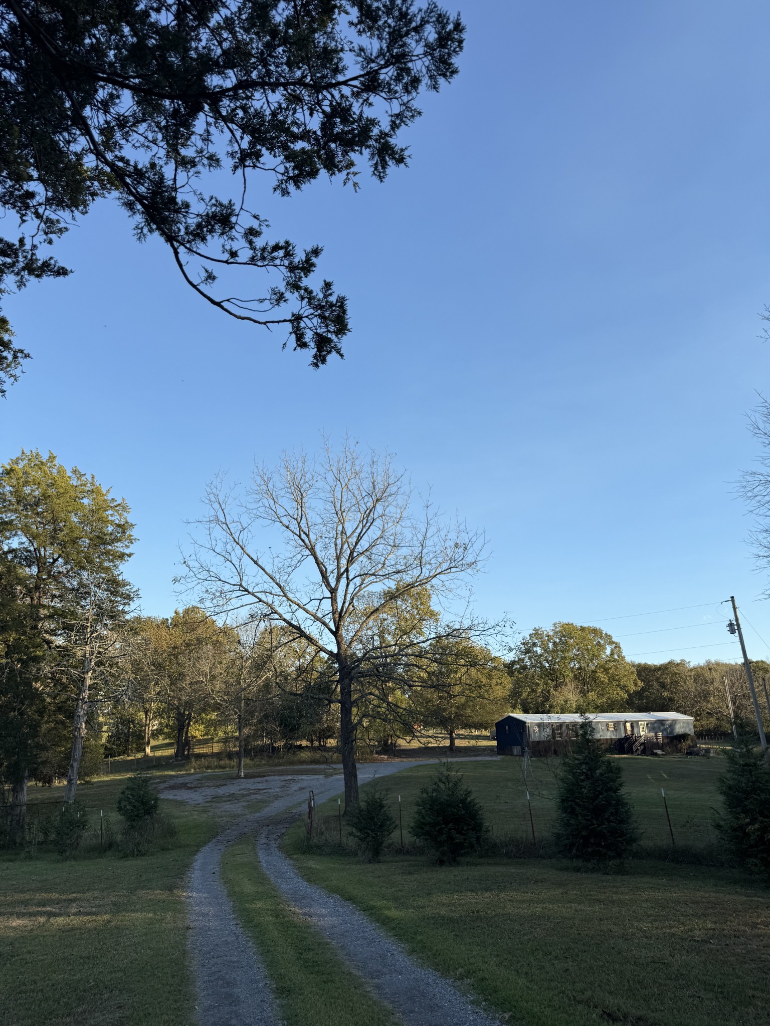 2510 Highway 231, S