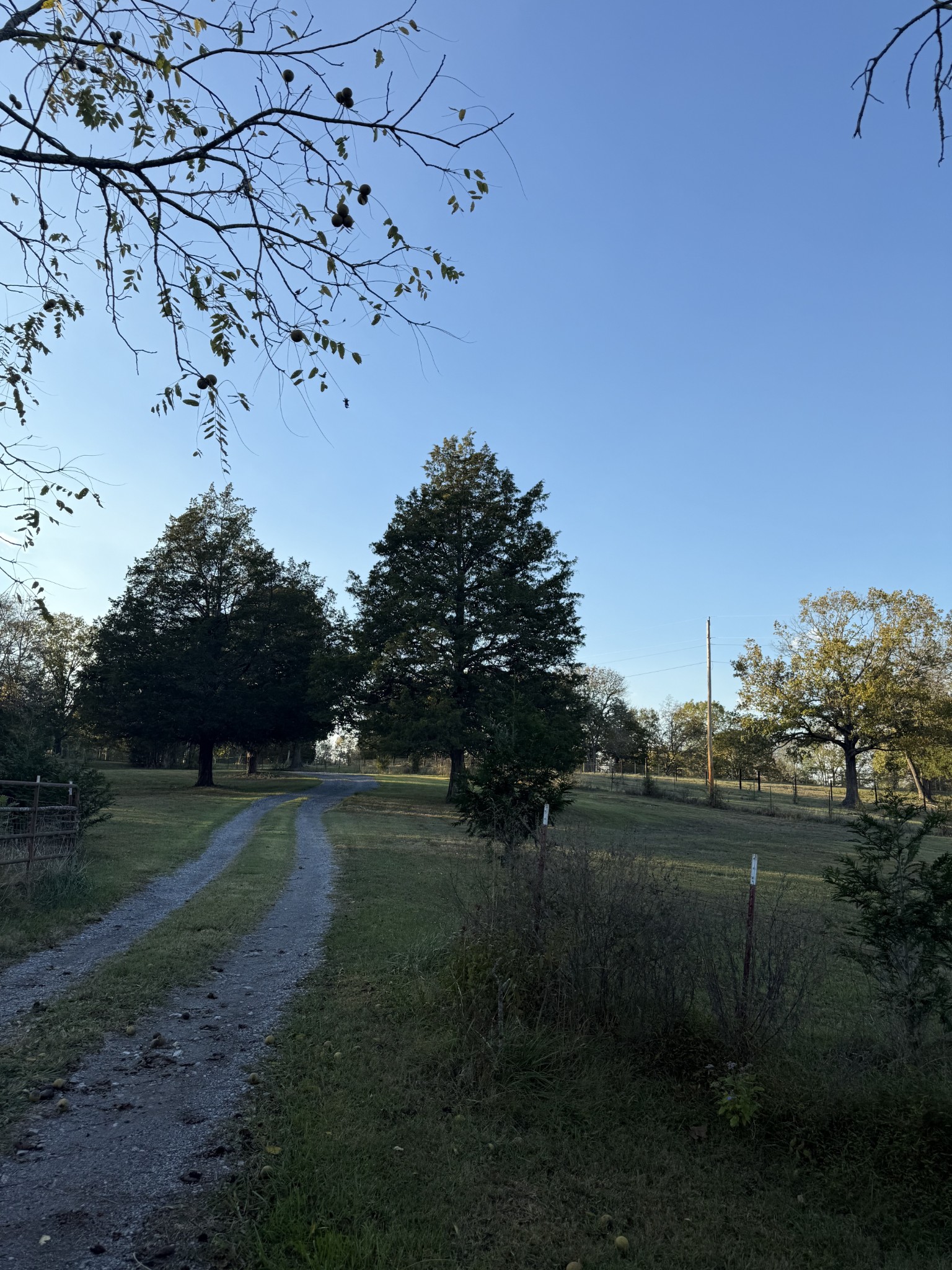 2510 Highway 231, S
