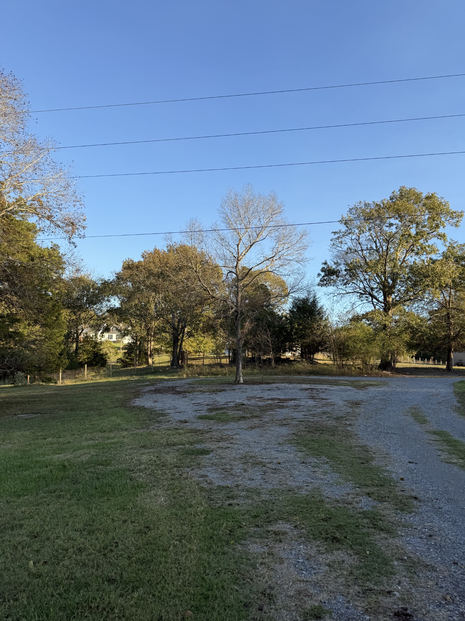 2510 Highway 231, S