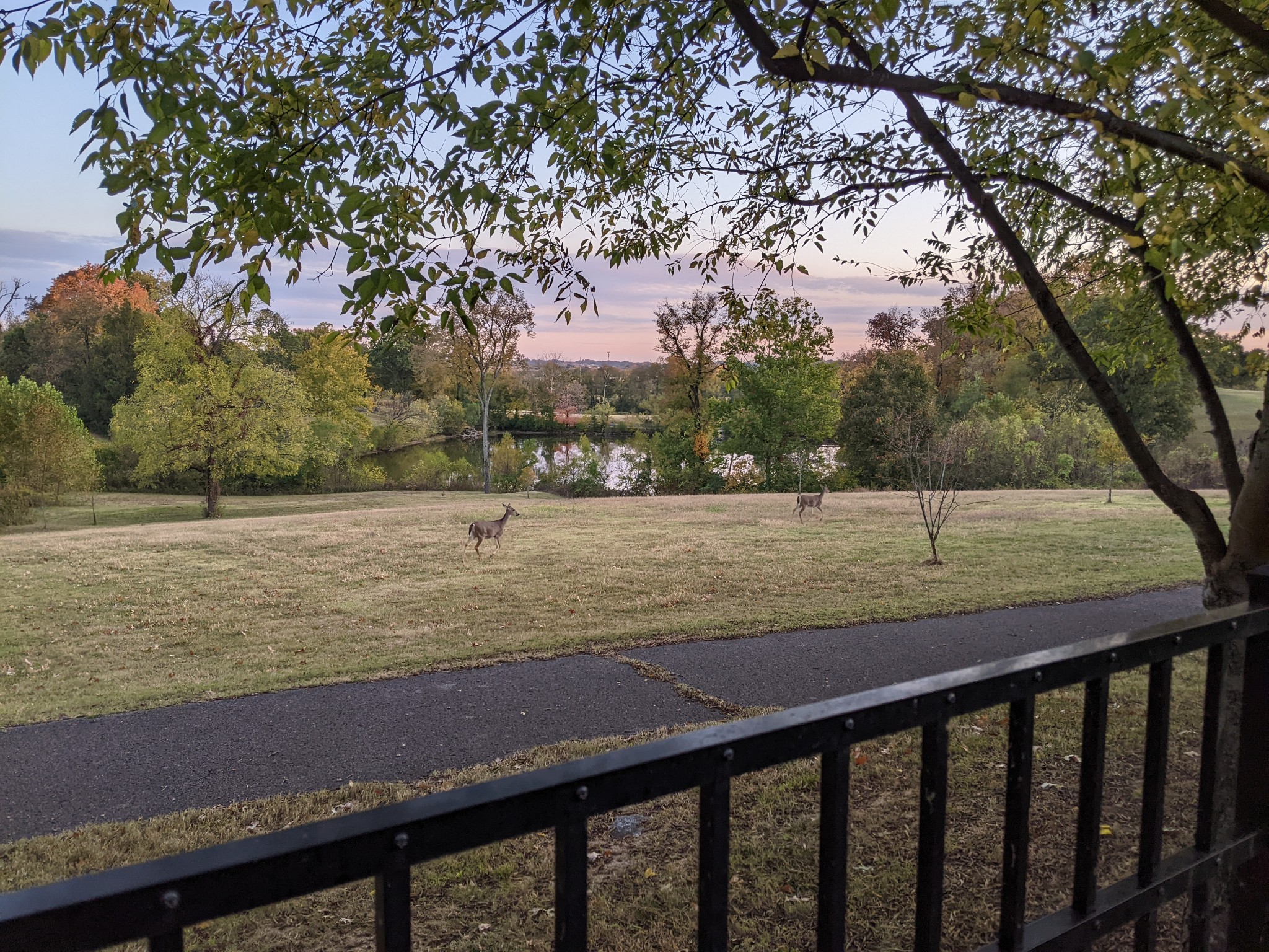 5129 Mountainbrook Cir