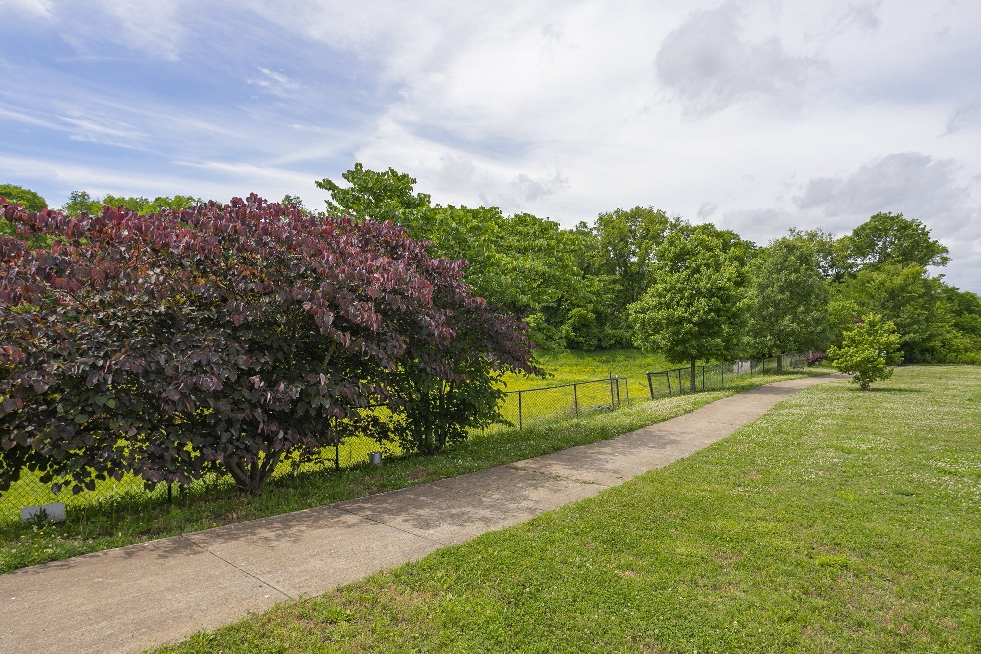 3253 Rainwood Dr