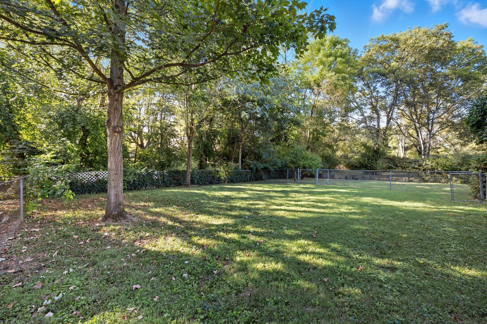 8003 Bonnafair Dr