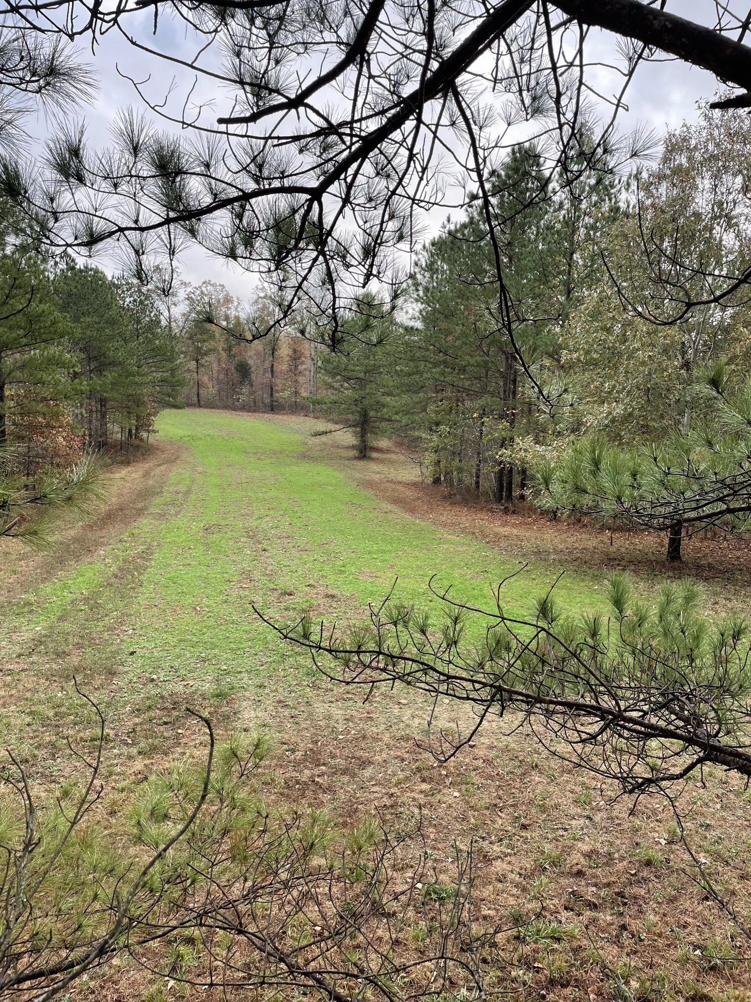 0 Sykes Branch Rd