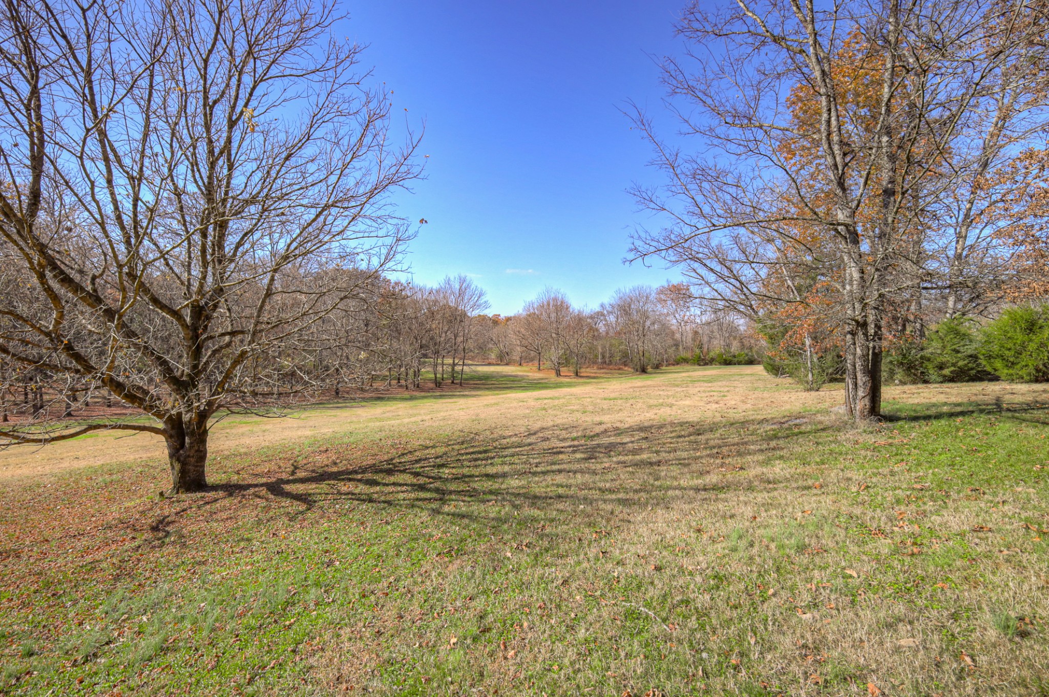 110 Silverstone Ln