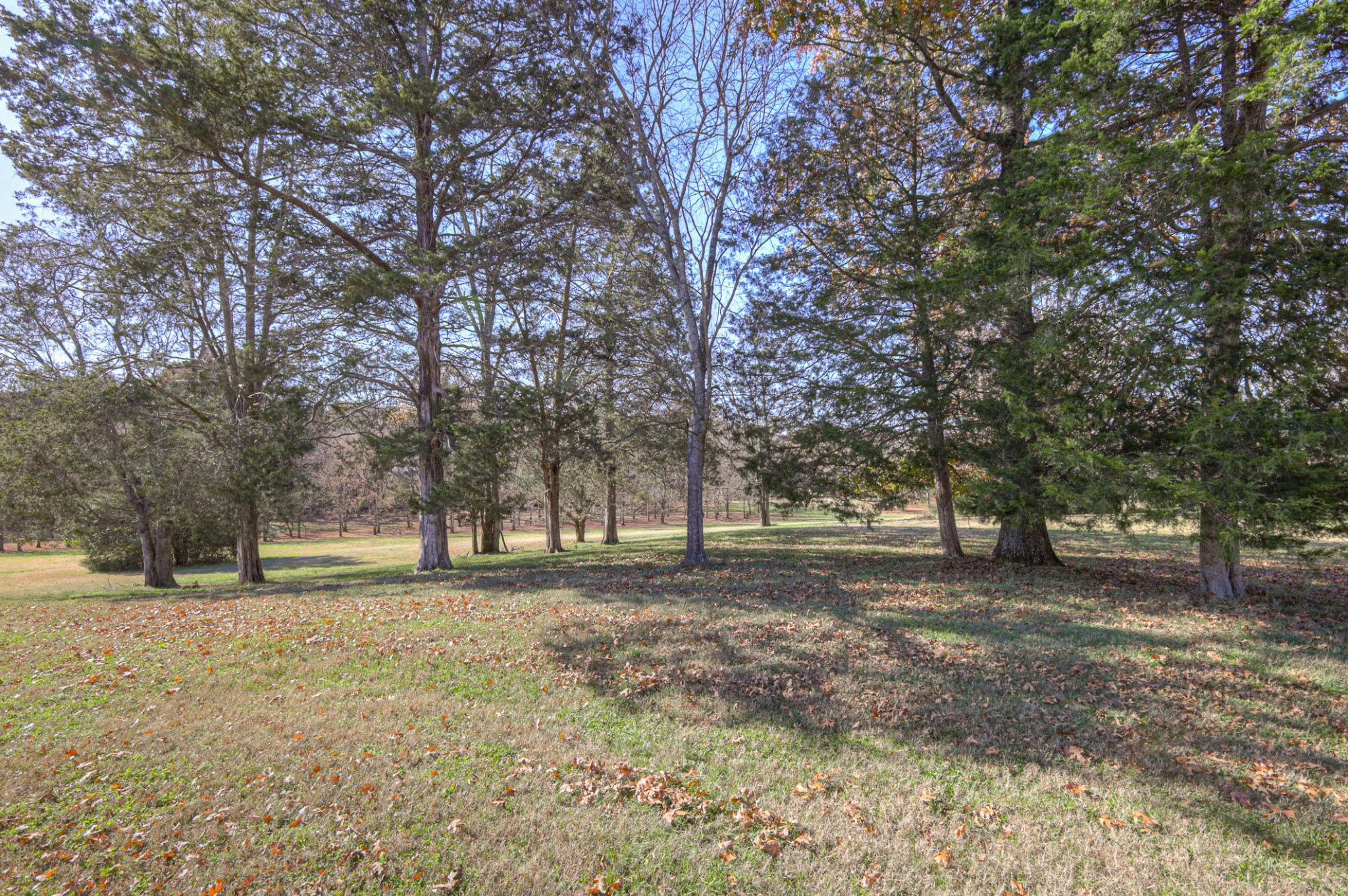 110 Silverstone Ln