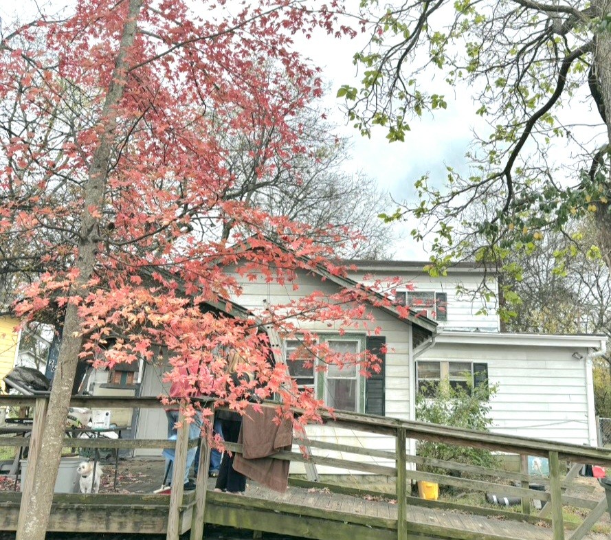 261 Ross Ave