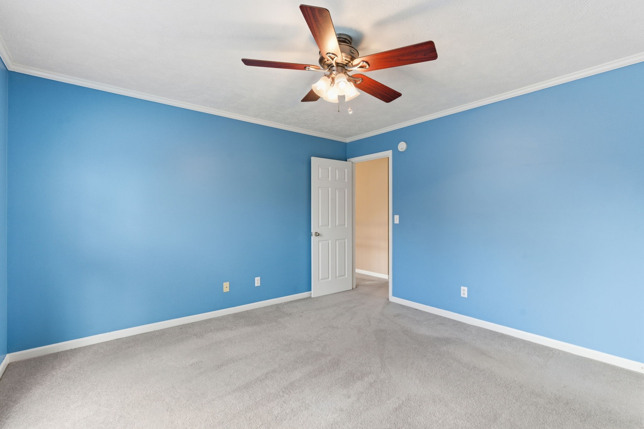 223 Comer Cir