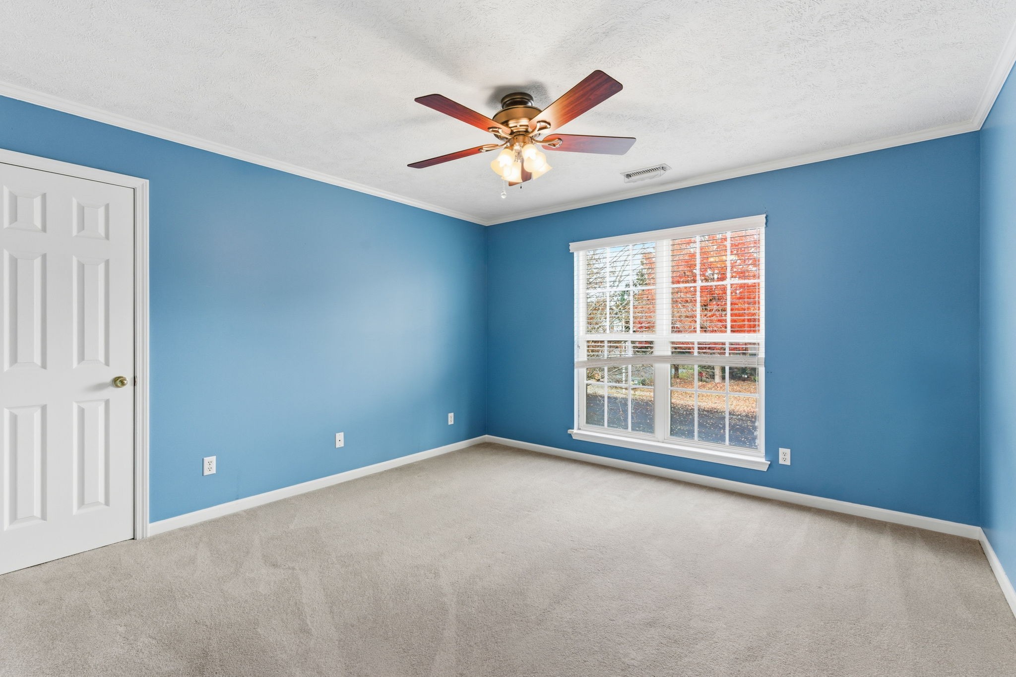 223 Comer Cir