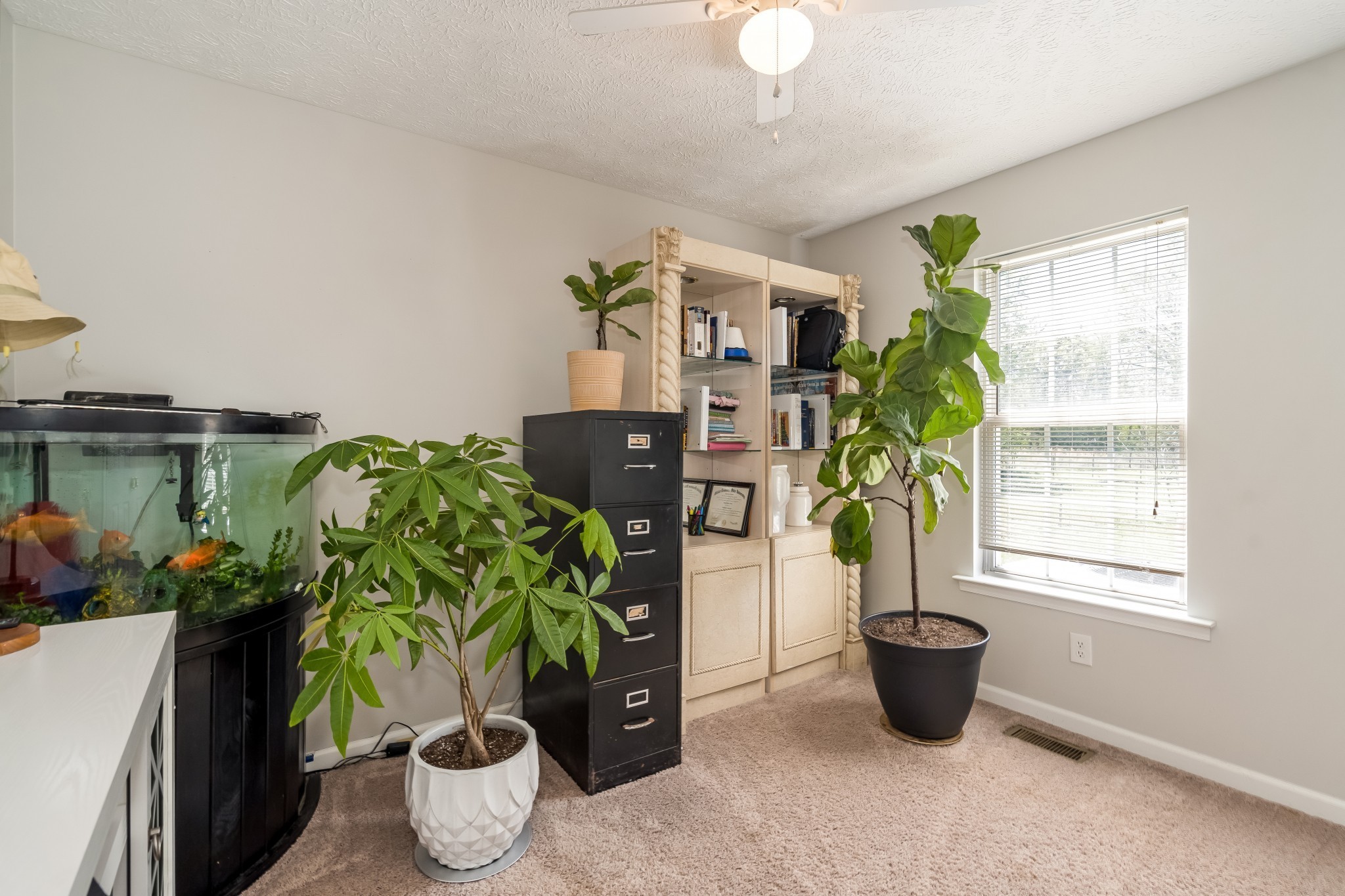 120 E Crawford Ct