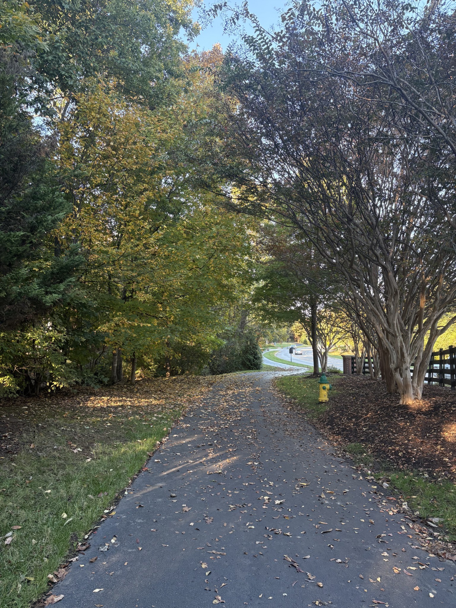 268 Killian Way