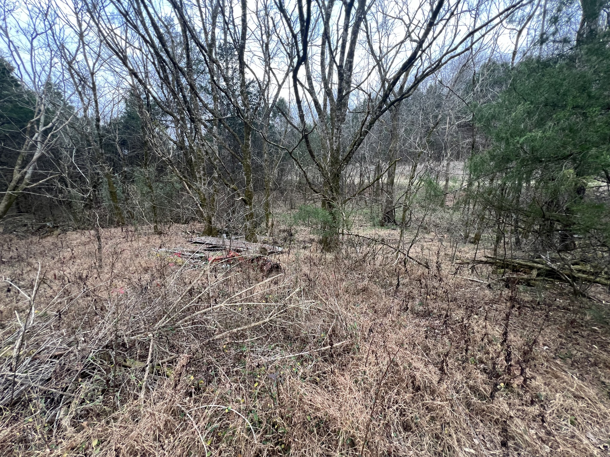 3281 Statesville Rd