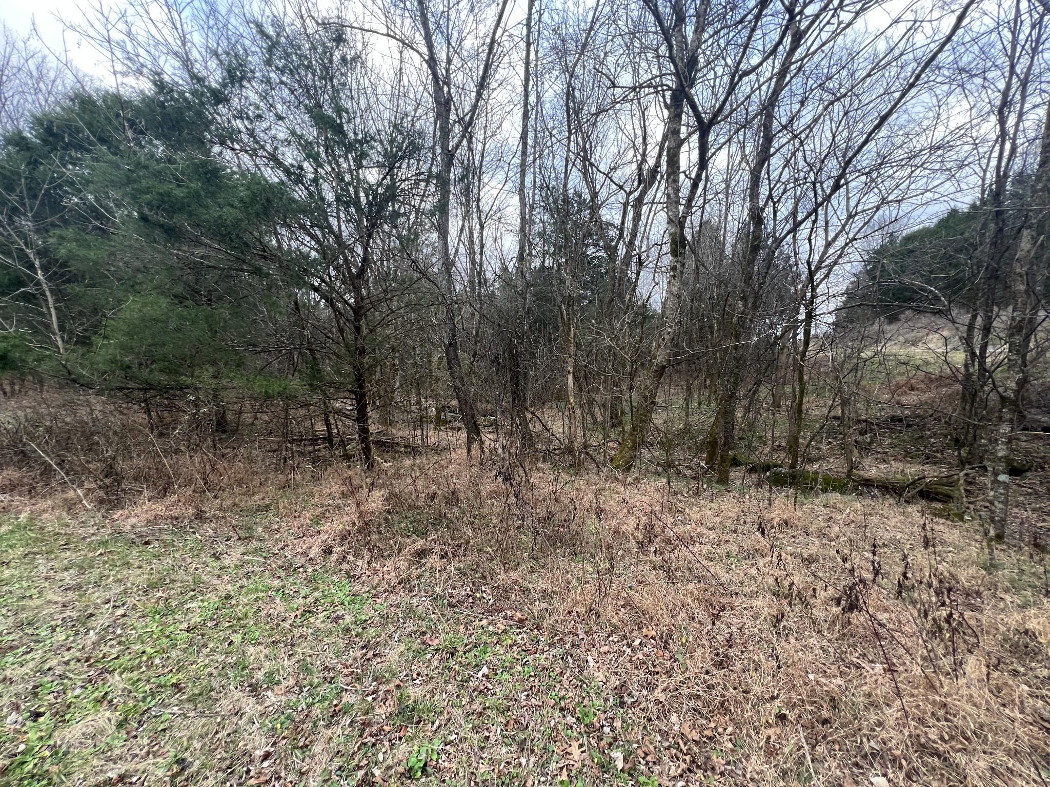 3281 Statesville Rd