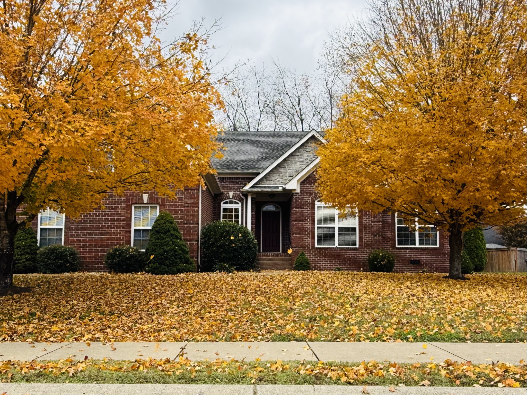 1032 Grider Dr
