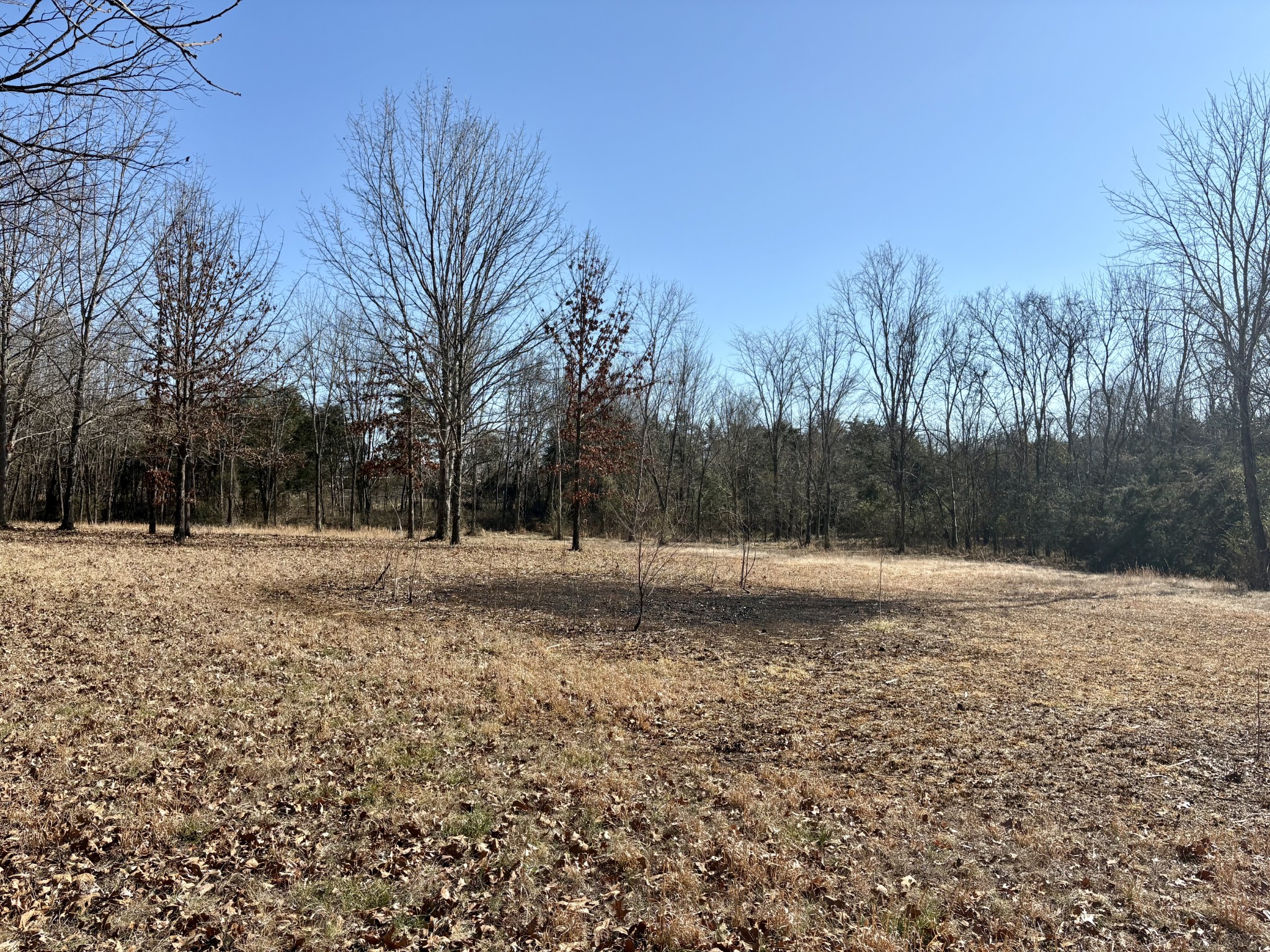 4407 S Mount Juliet Rd
