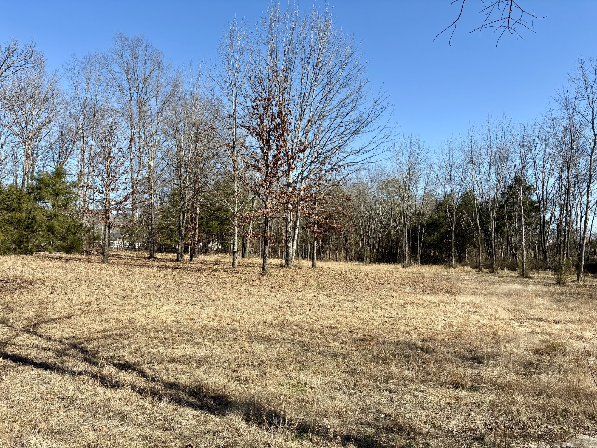 4407 S Mount Juliet Rd