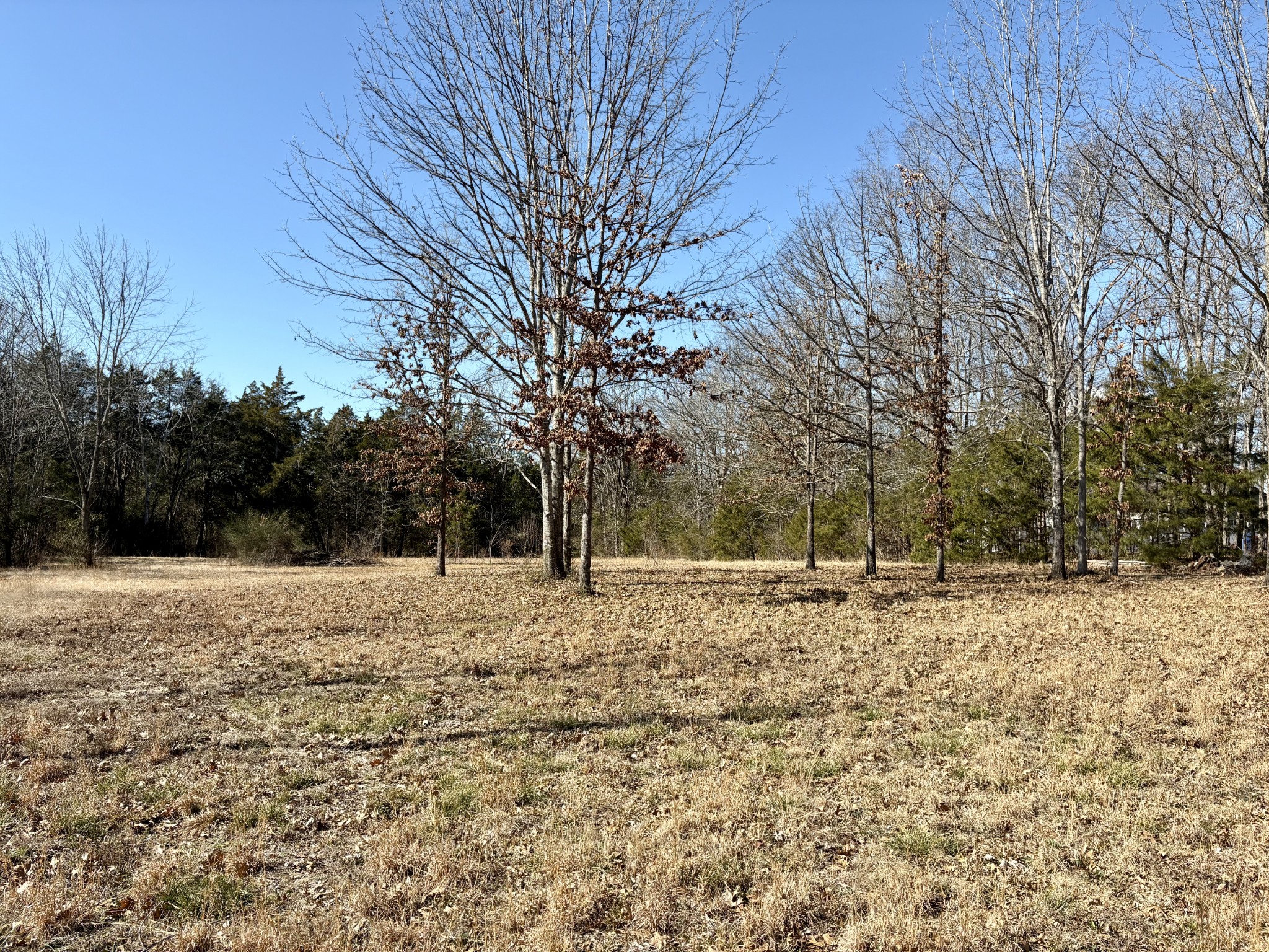 4407 S Mount Juliet Rd
