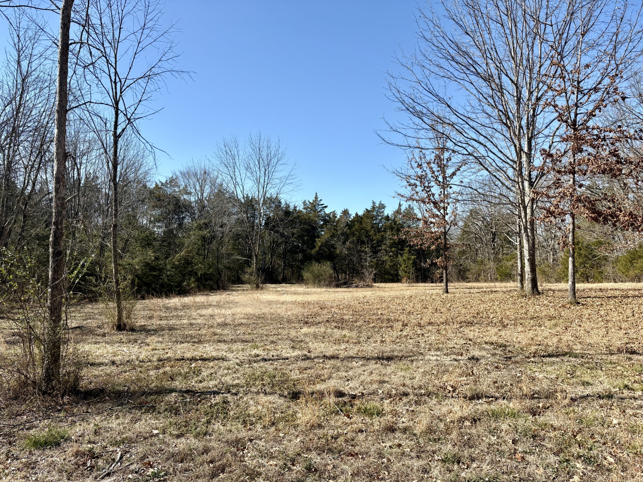 4407 S Mount Juliet Rd