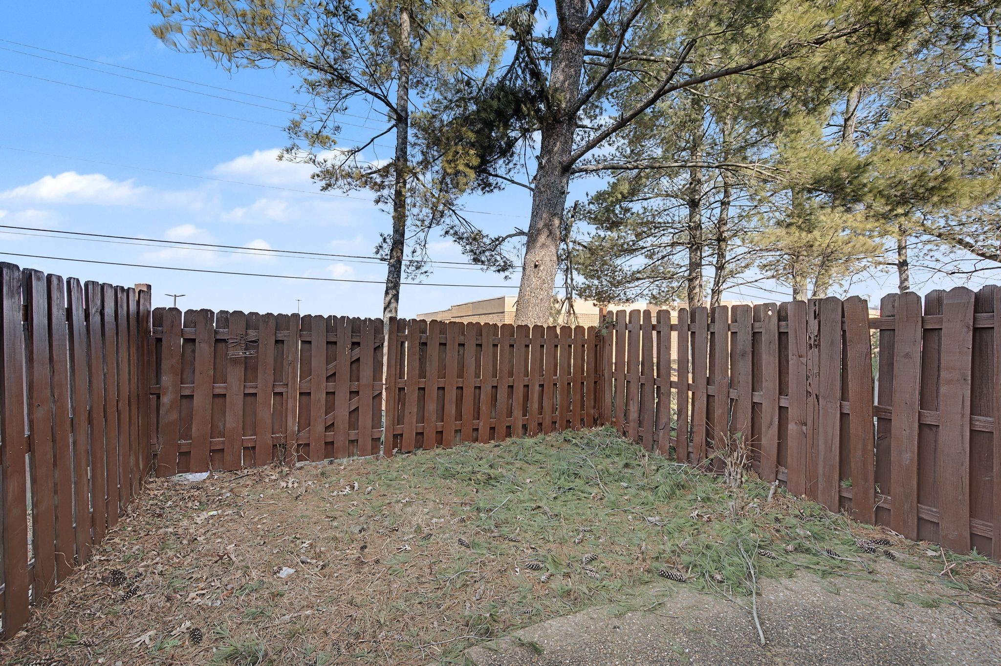 116 Beech Forge Dr