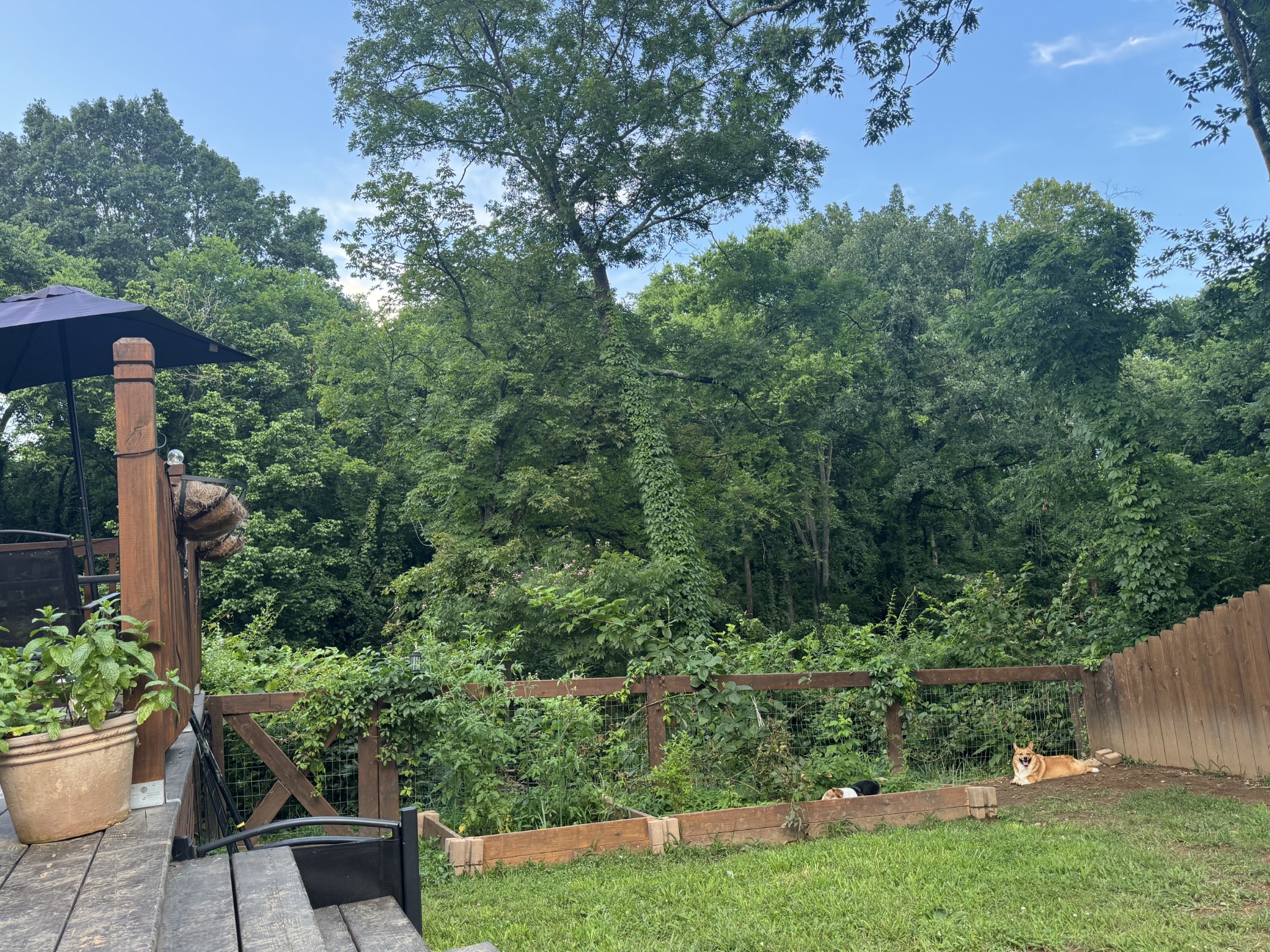 327 Dinwiddie Dr