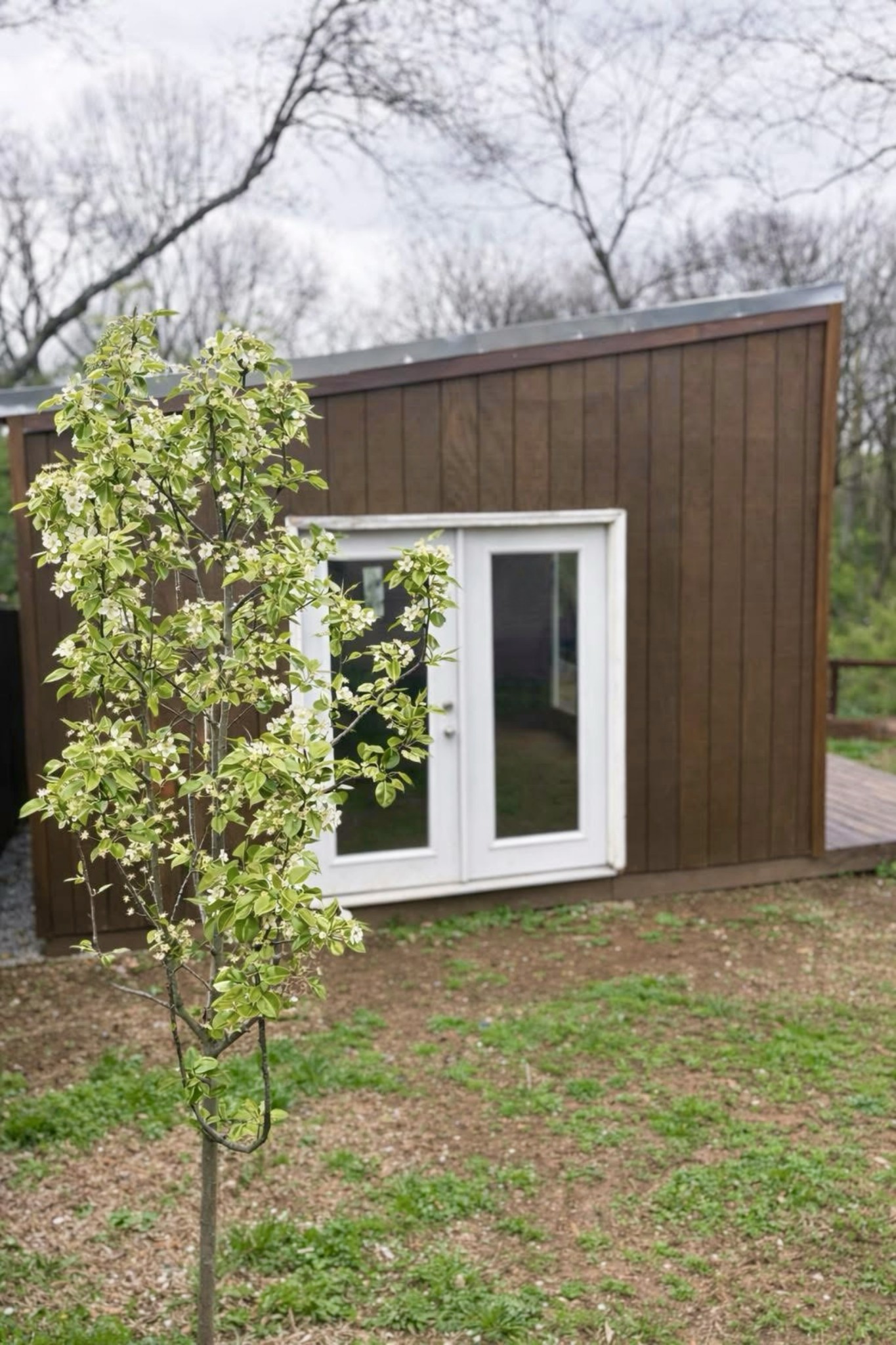 327 Dinwiddie Dr