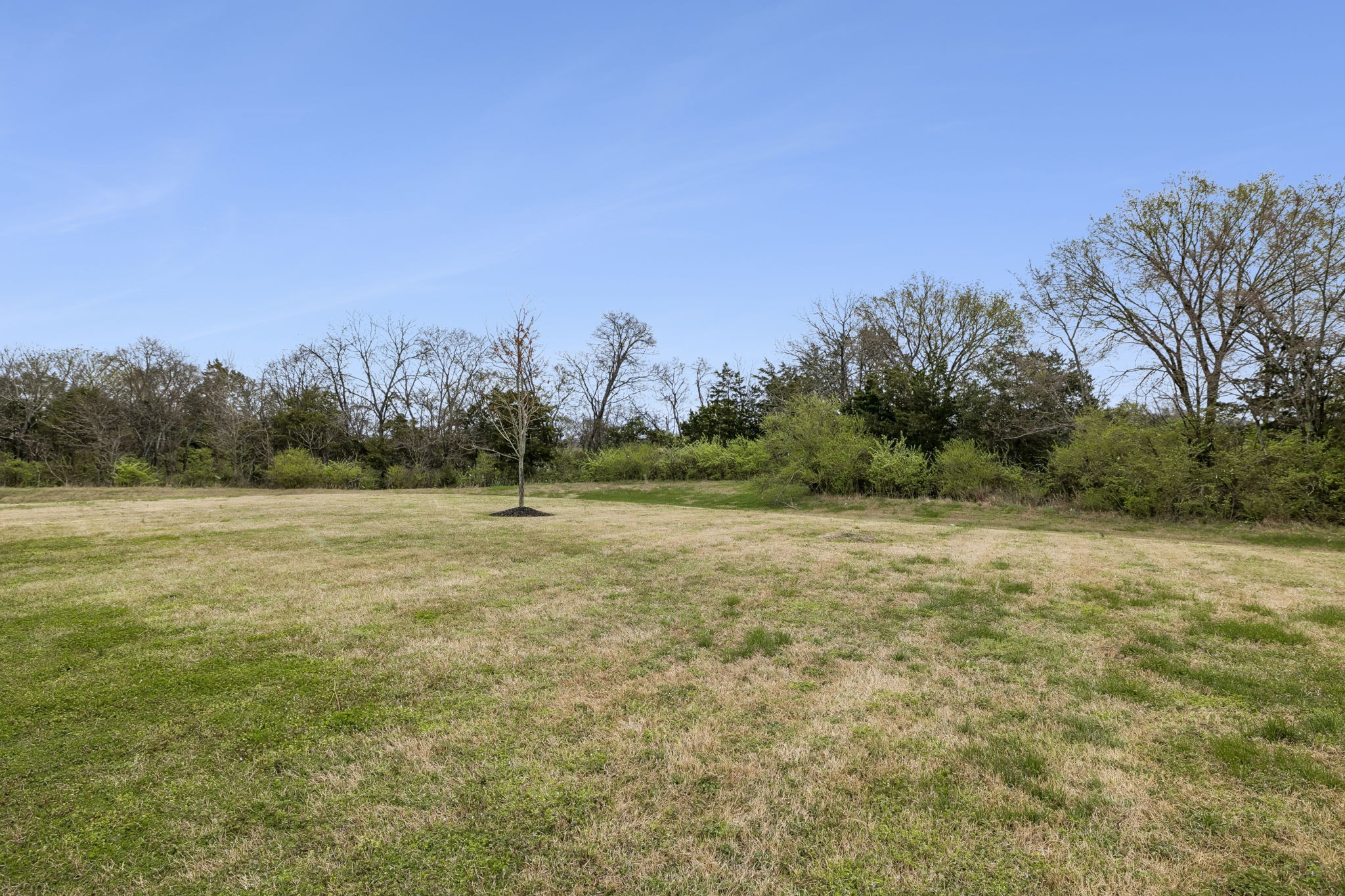 1442 Woodside Dr