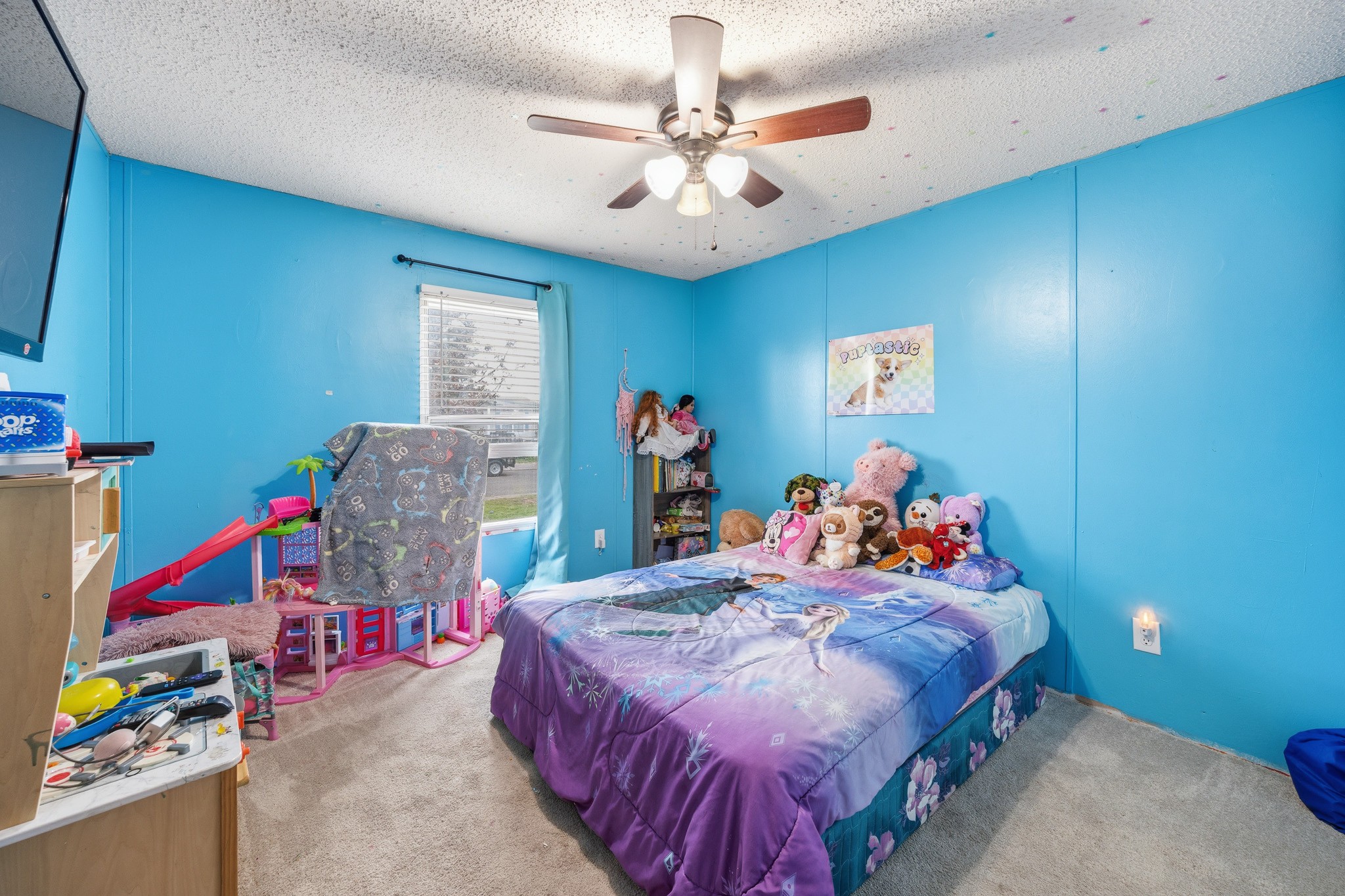 118 Shawn Dr