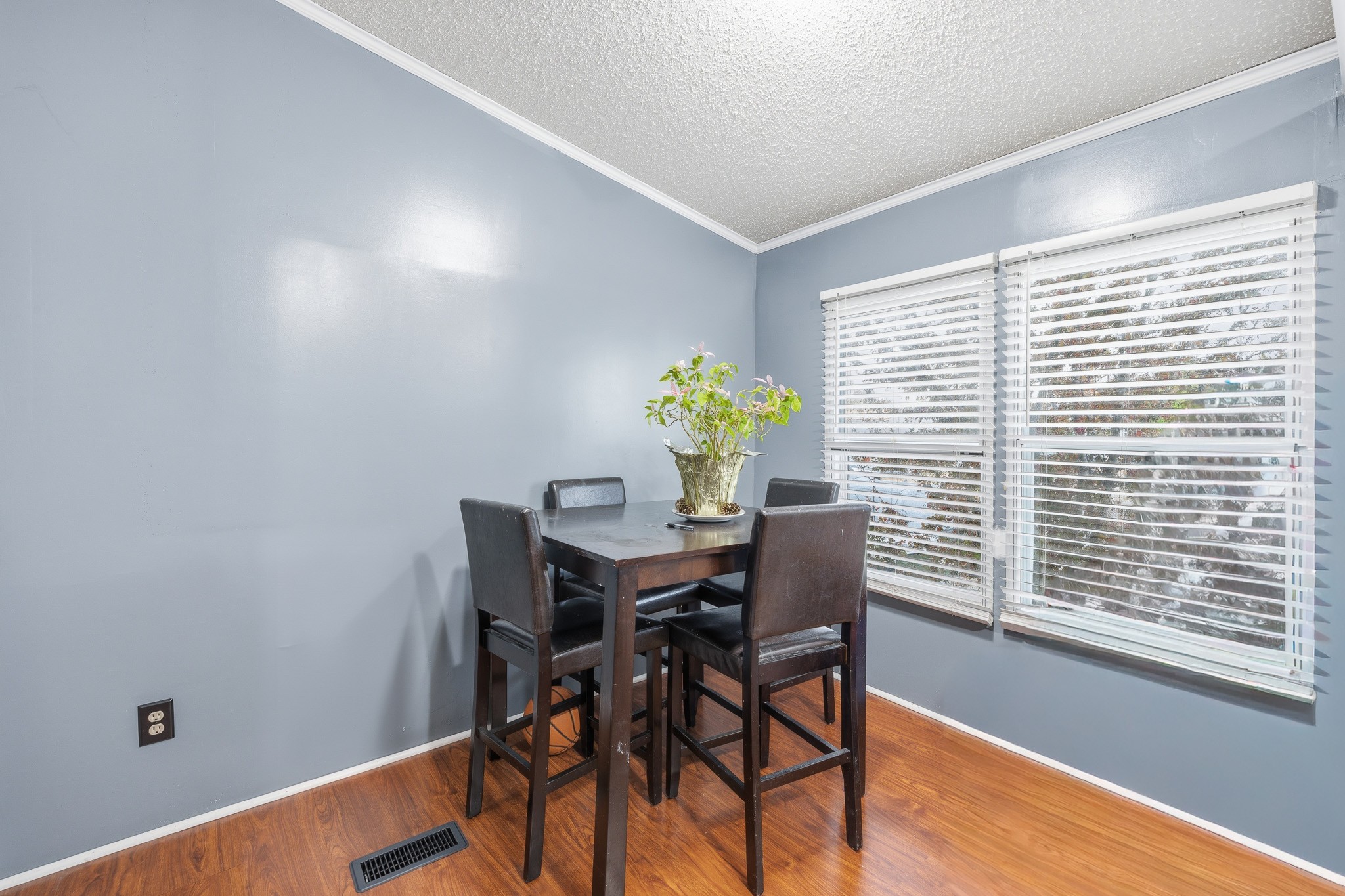 118 Shawn Dr