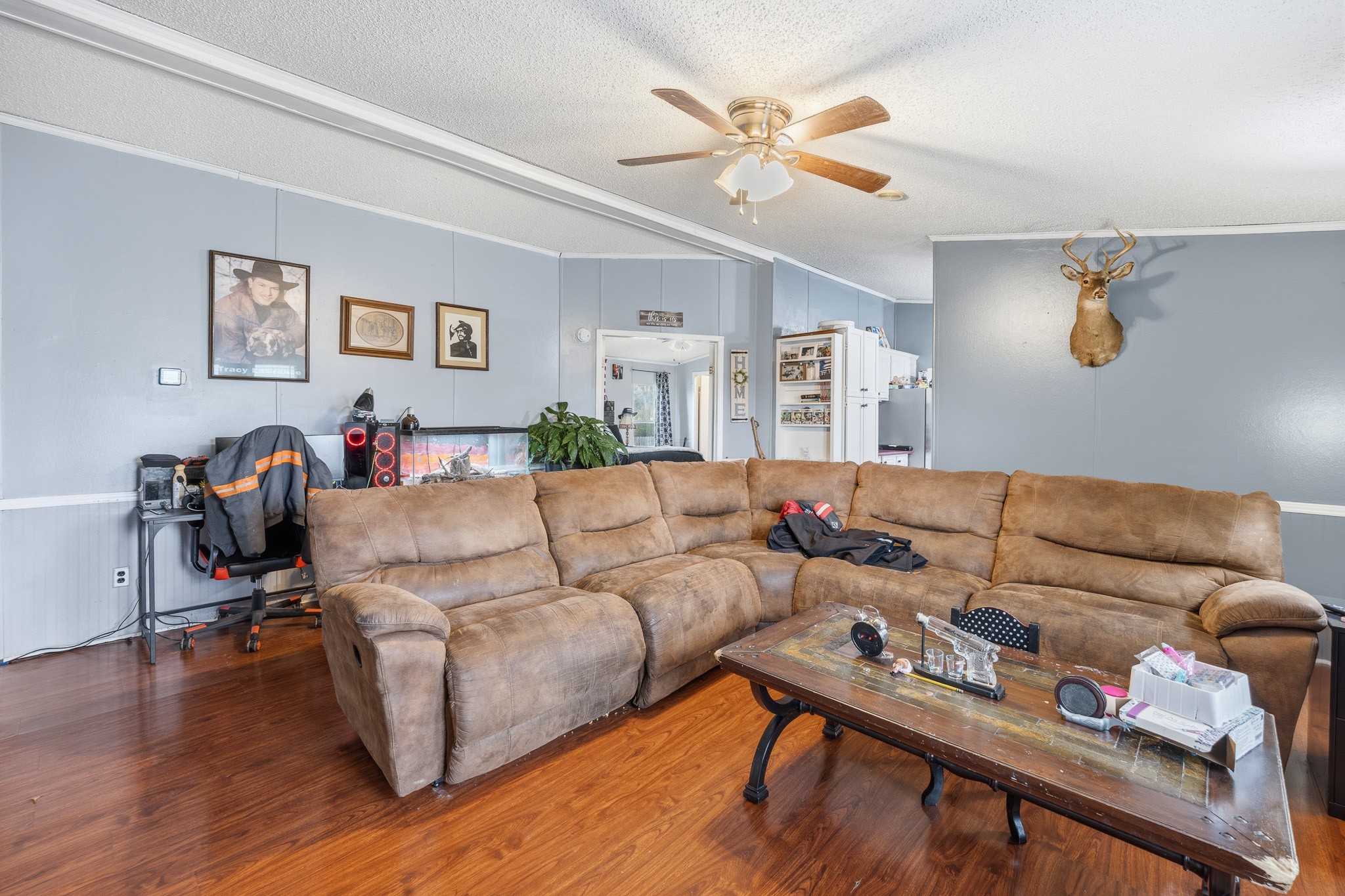 118 Shawn Dr