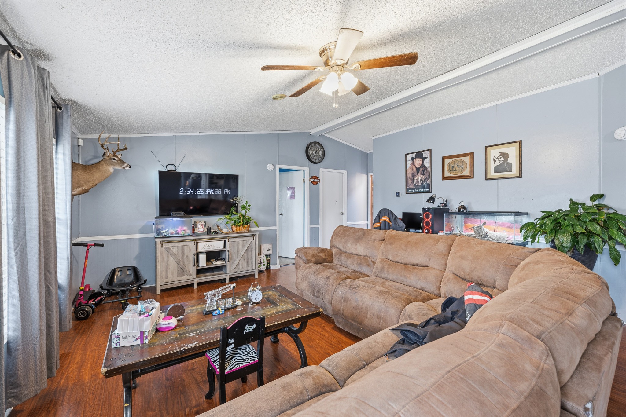 118 Shawn Dr