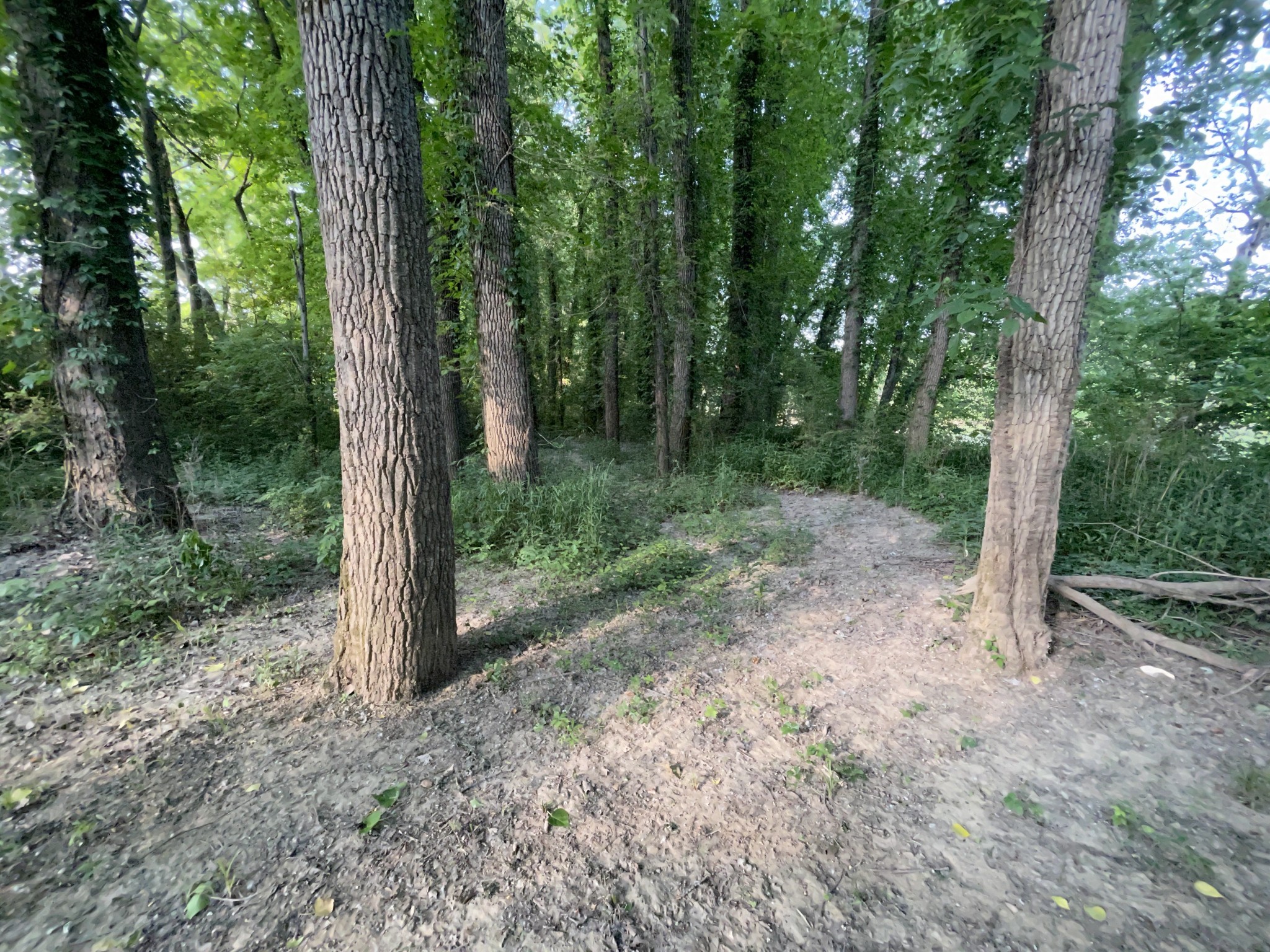 0 Willow Ln