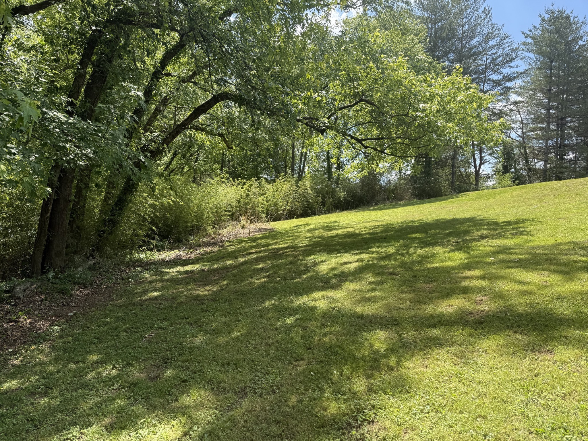 260 Willow Ln